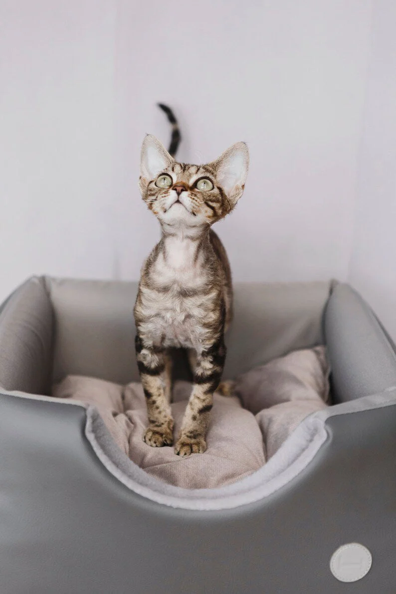 Cabrio Convertible Cat Bed - Image 11
