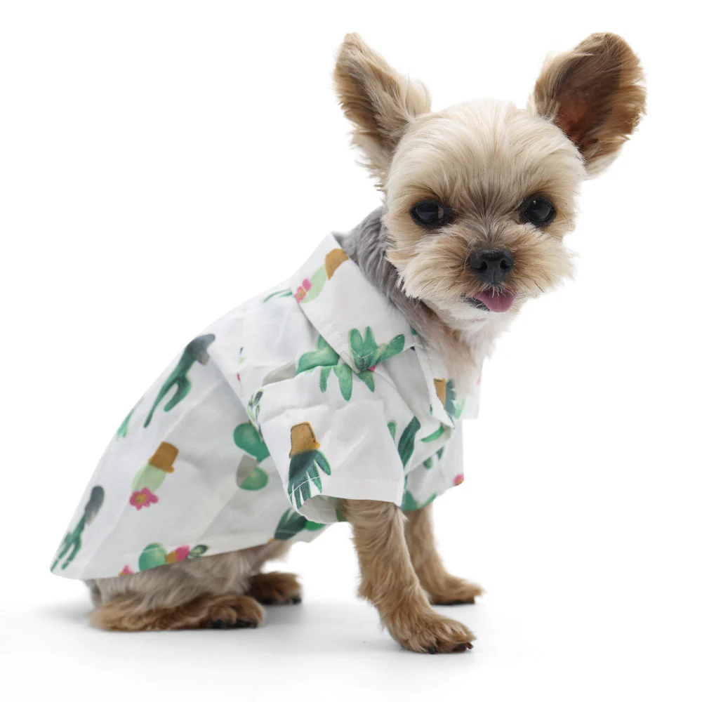 Cactus Shirt - Image 5