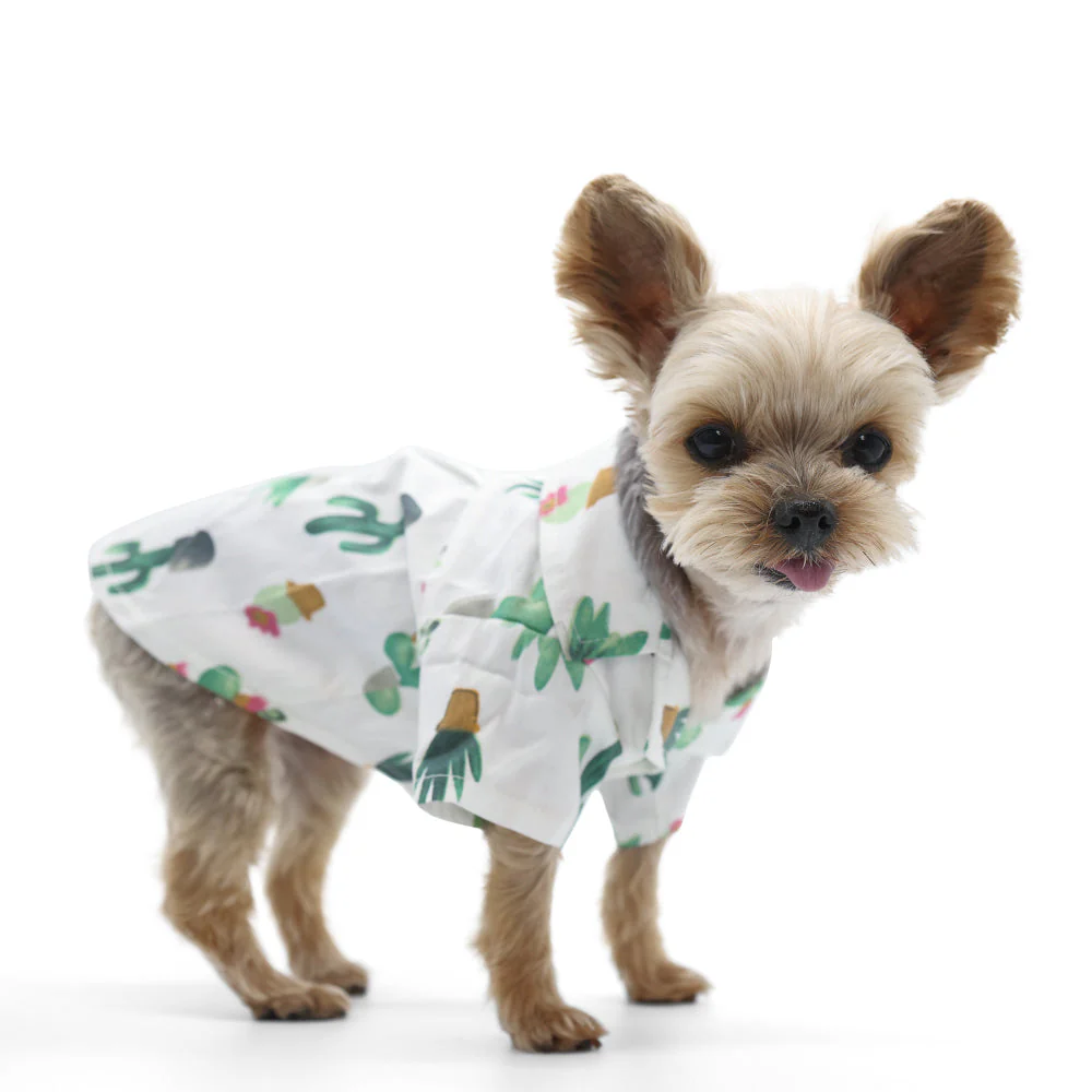 Cactus Shirt - Image 7