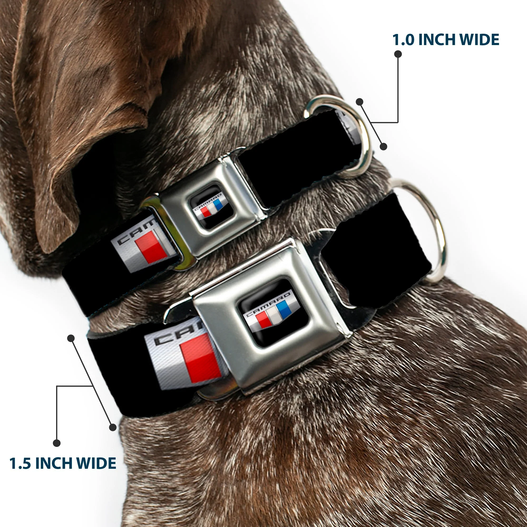 CAMARO Six Badge Full Color Black Silver Red White Blue Seatbelt Buckle Collar - CAMARO Six Badge Black/Silver/Red/White/Blue - Image 2