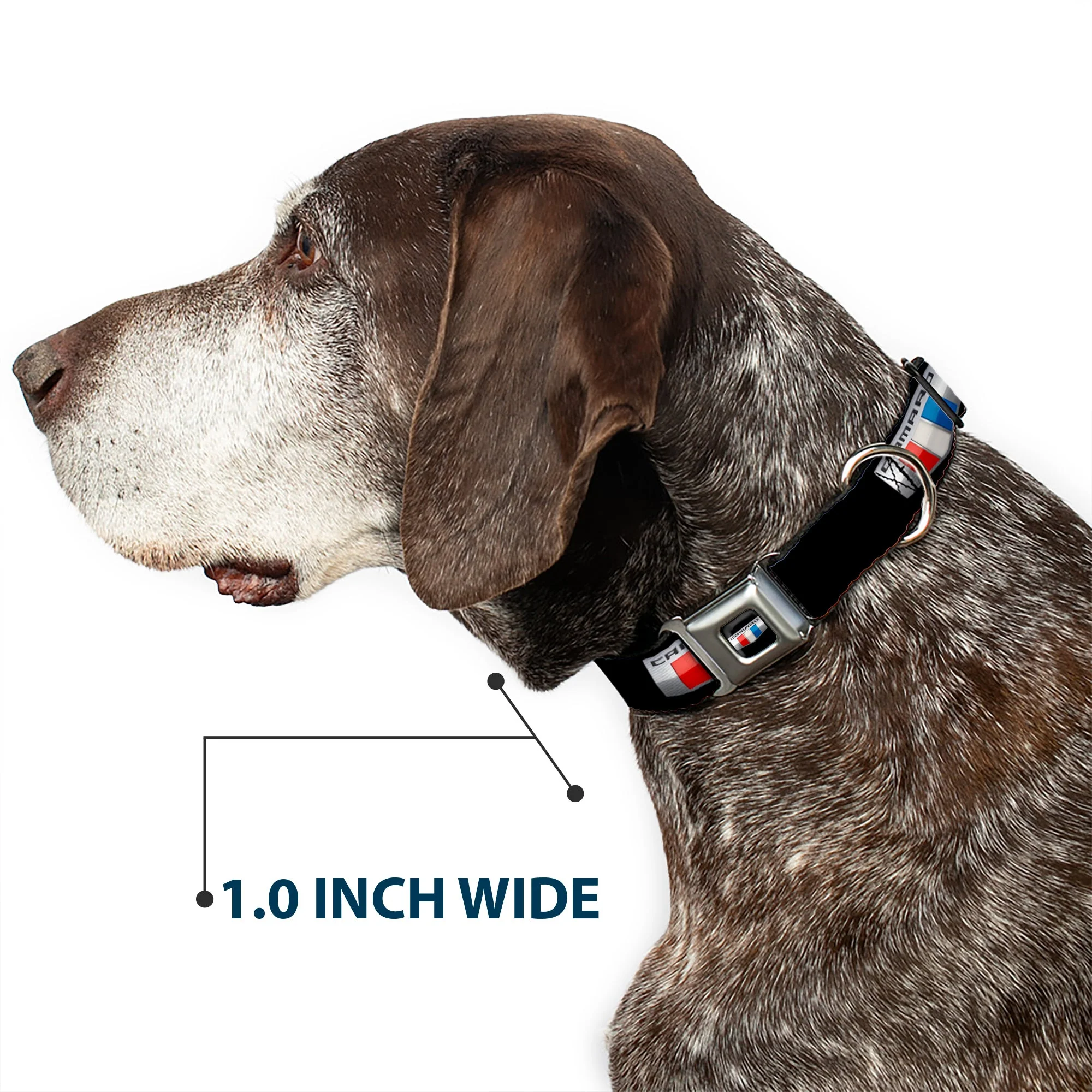 CAMARO Six Badge Full Color Black Silver Red White Blue Seatbelt Buckle Collar - CAMARO Six Badge Black/Silver/Red/White/Blue - Image 6