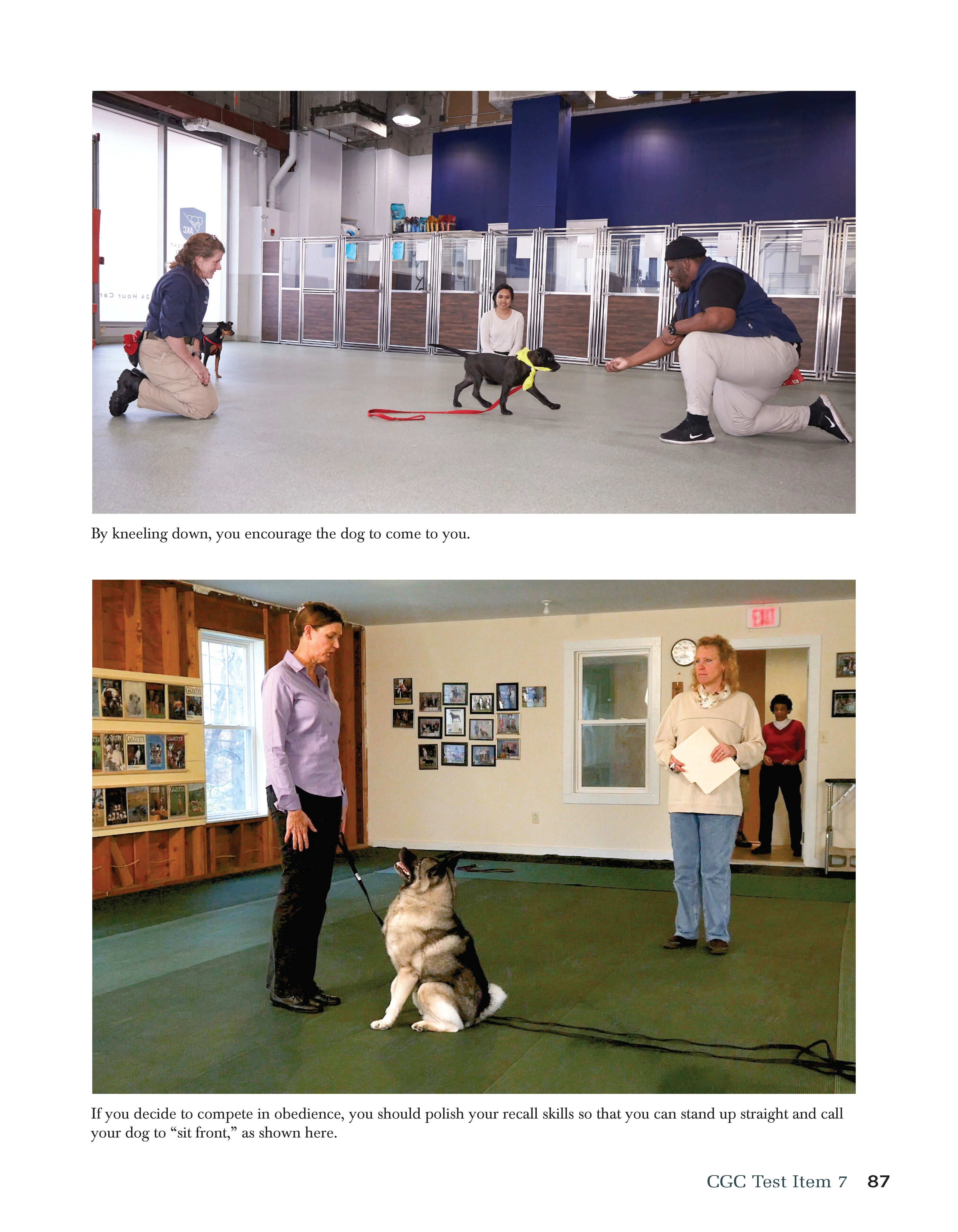 Canine Good Citizen - The Official AKC Guide - Image 2