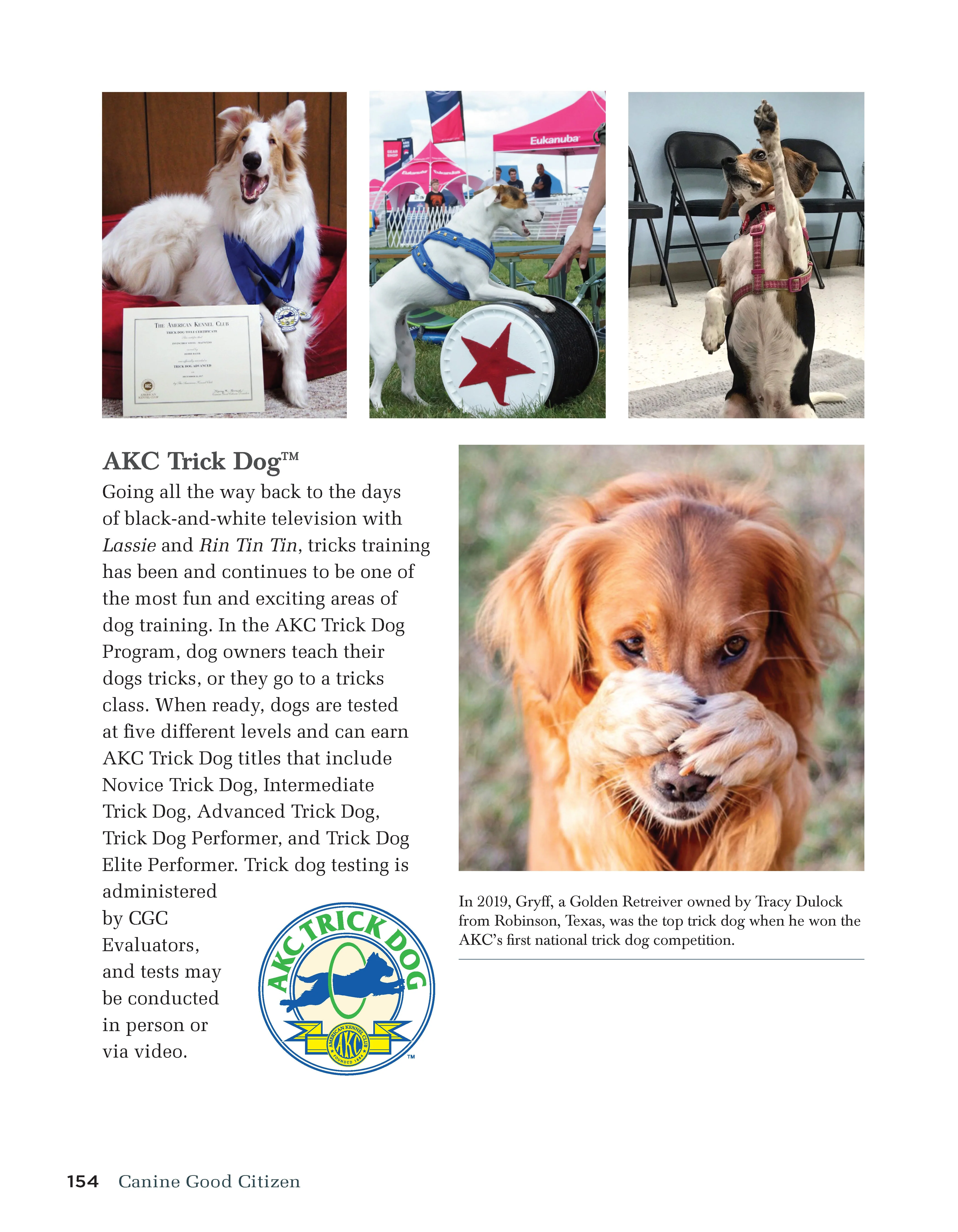 Canine Good Citizen - The Official AKC Guide - Image 6
