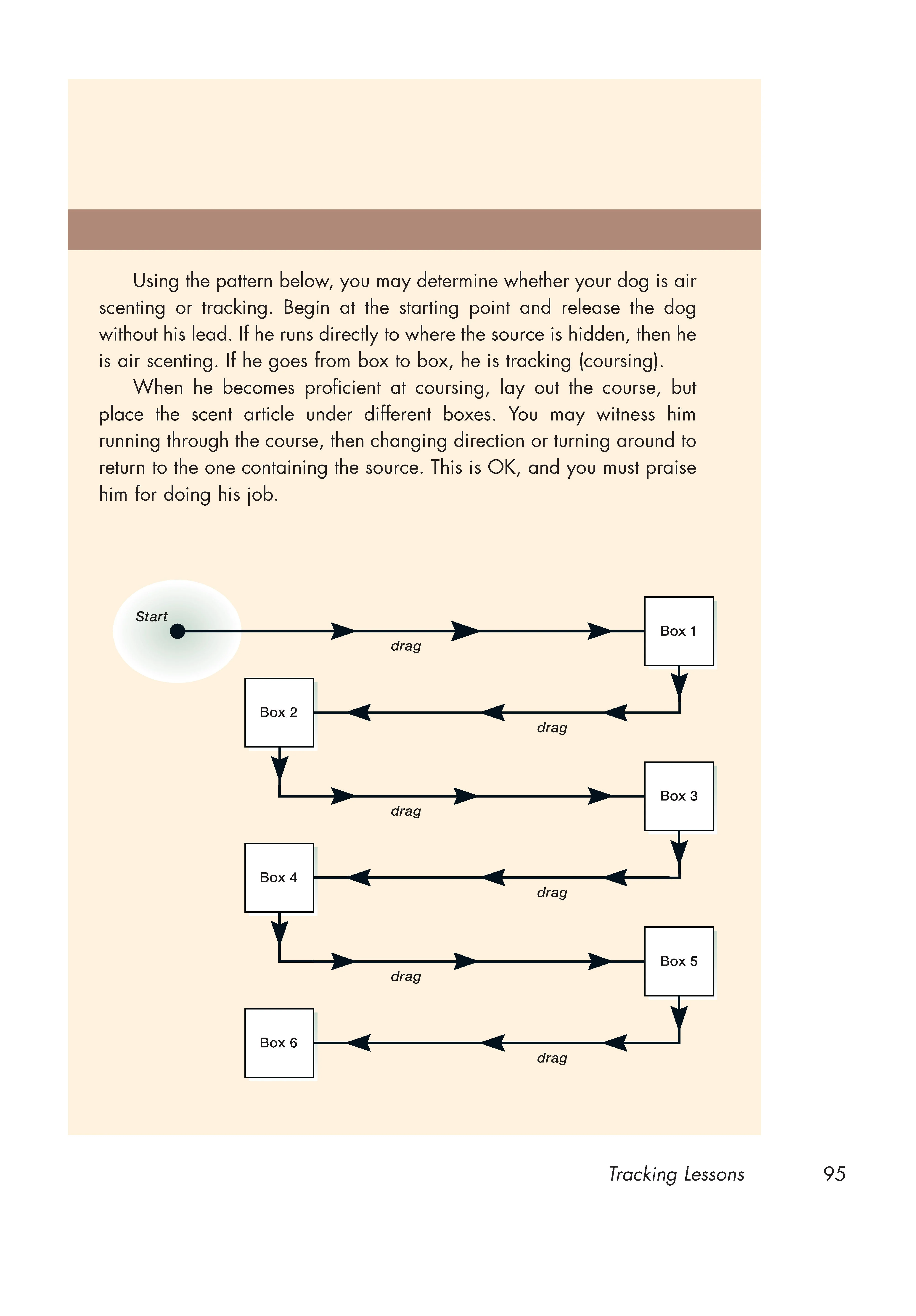 Canine Tracking Guide - Image 4
