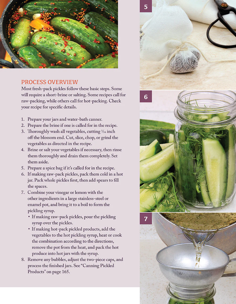Canning Essentials - Image 4