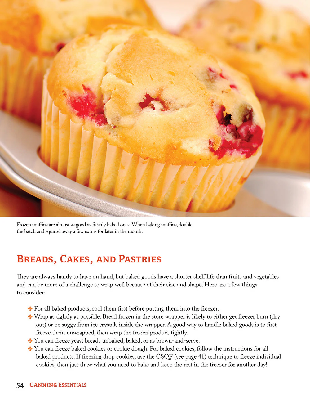 Canning Essentials - Image 7