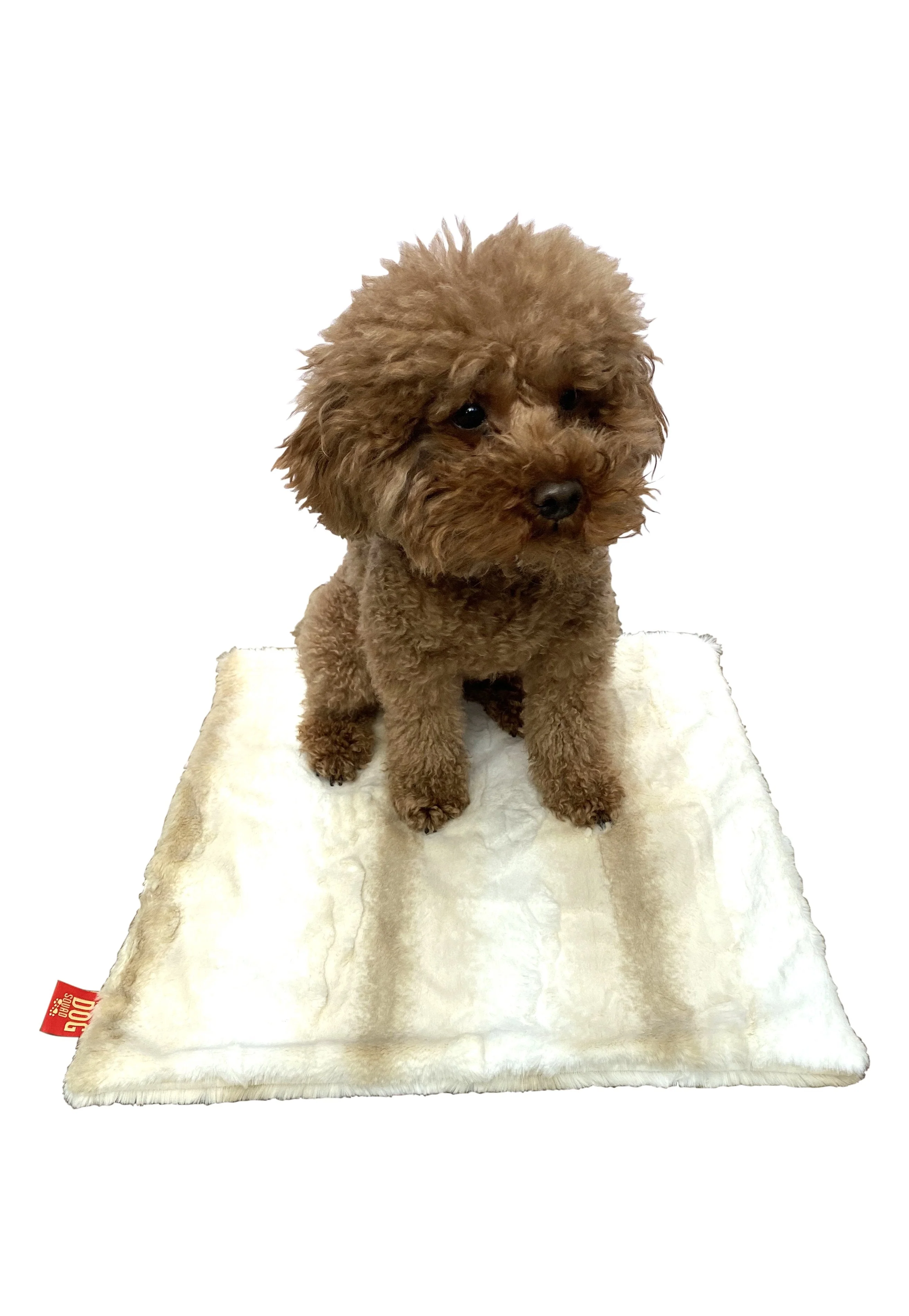 Carrier Square Blanket, Angora Ombre in Biscotti - Image 2