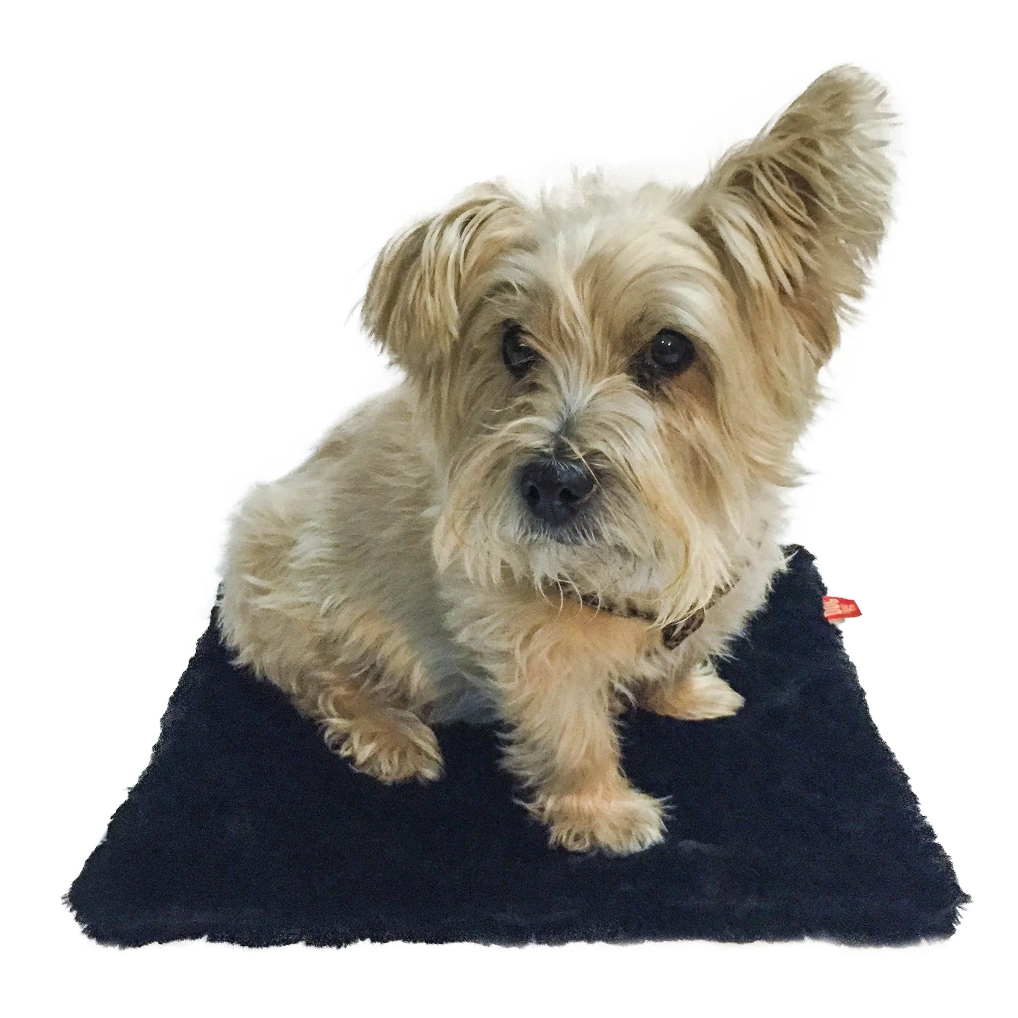 Carrier Square Blanket, Bella Black - Image 2