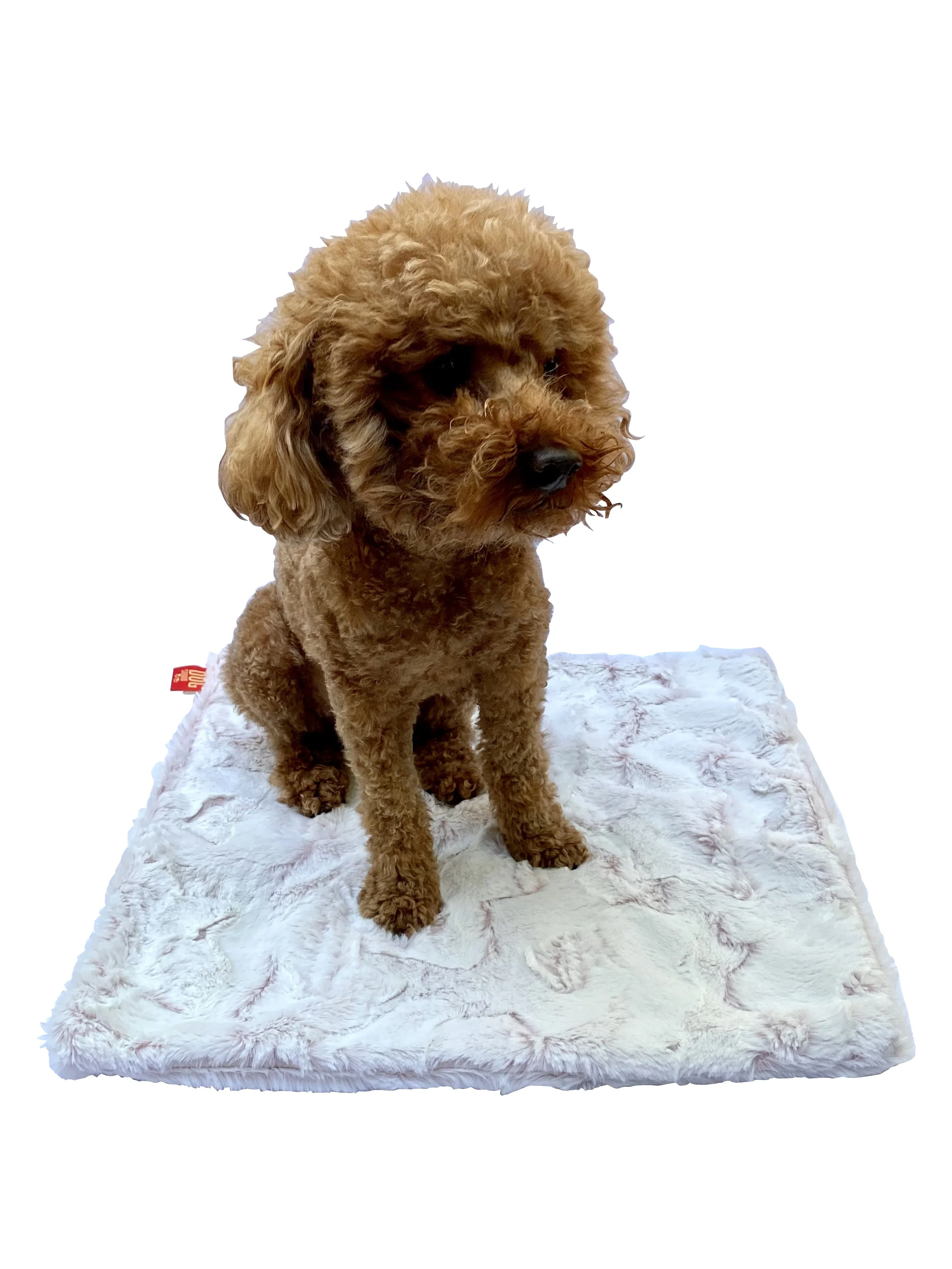 Carrier Square Blanket, Frosted Rosewater - Image 2