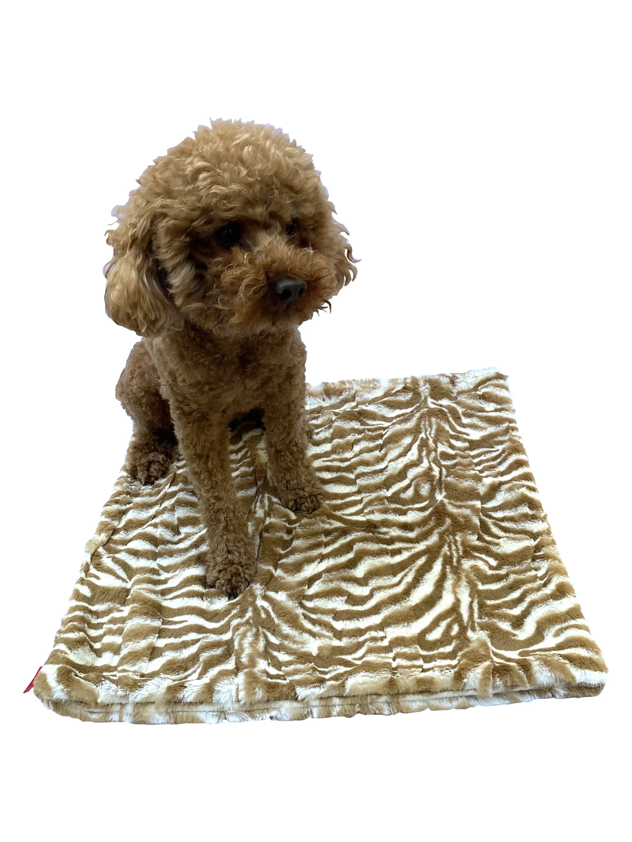 Carrier Square Blanket, Zebra Cappuccino - Image 2
