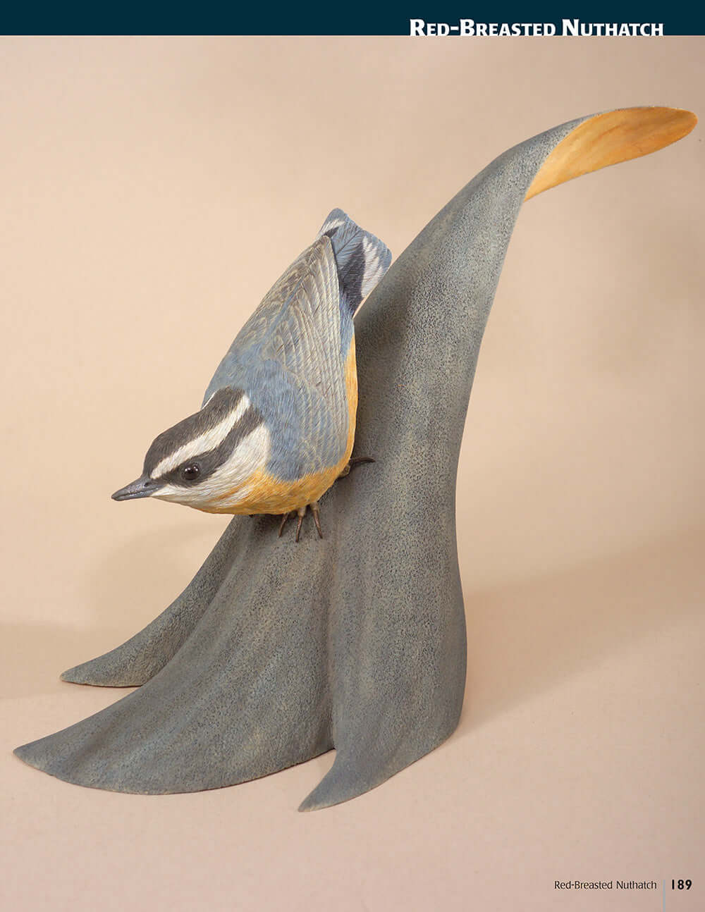 Carving Award-Winning Songbirds - Image 5