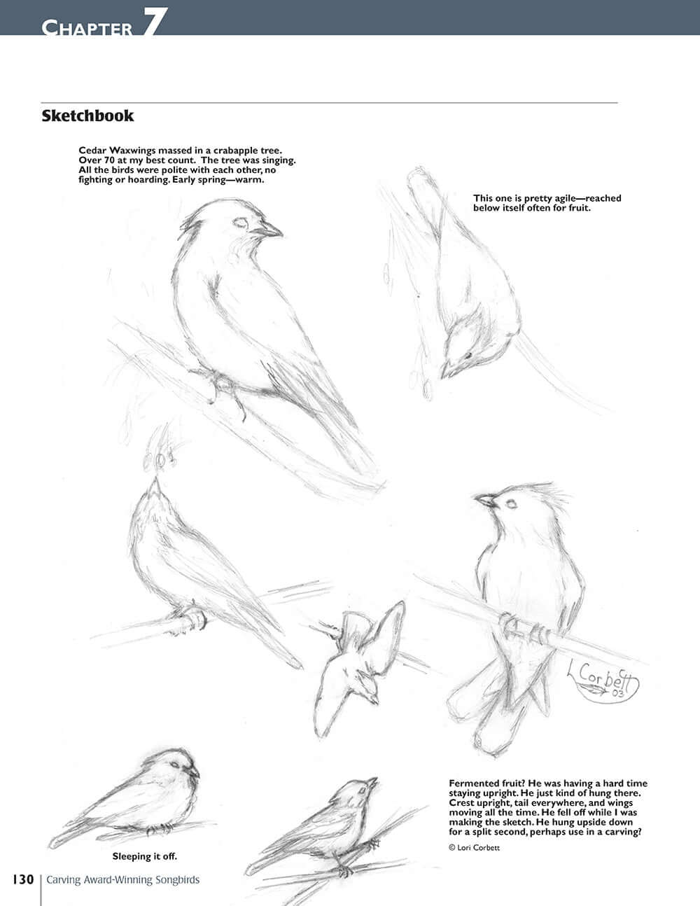 Carving Award-Winning Songbirds - Image 6