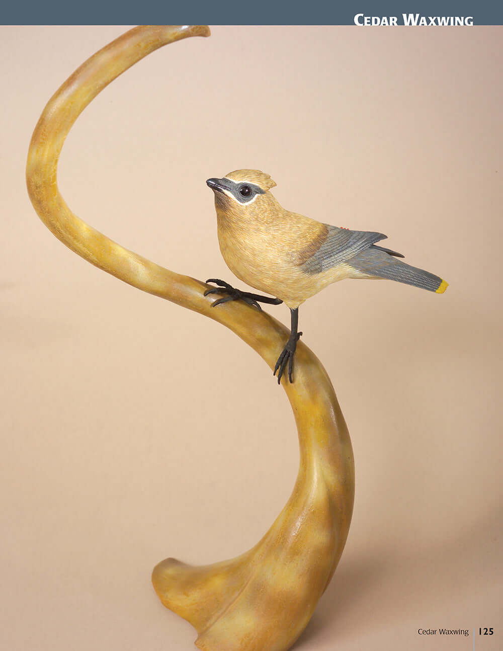 Carving Award-Winning Songbirds - Image 7