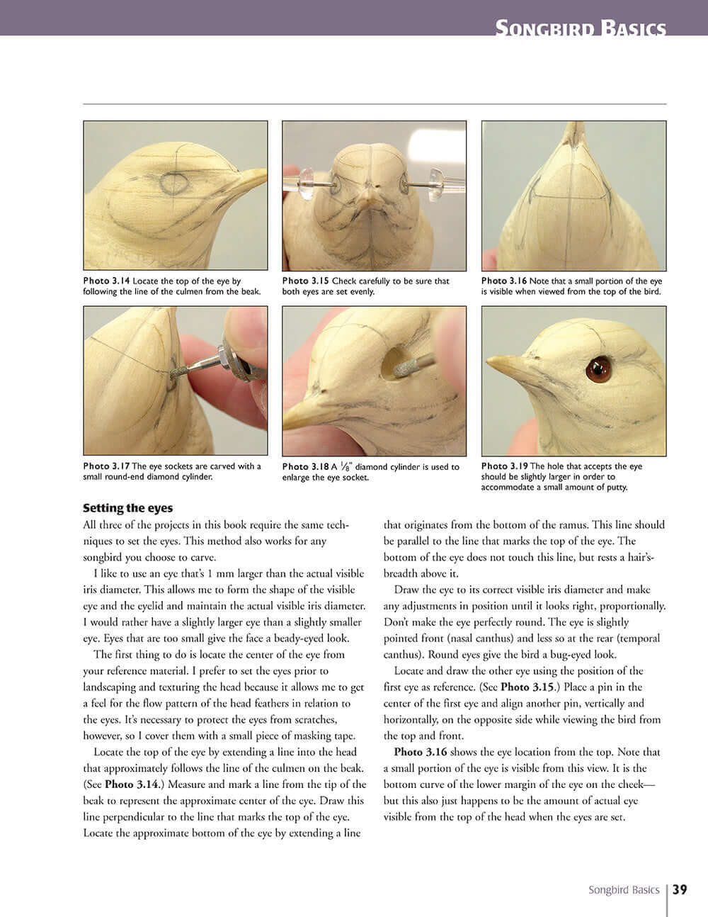 Carving Award-Winning Songbirds - Image 8