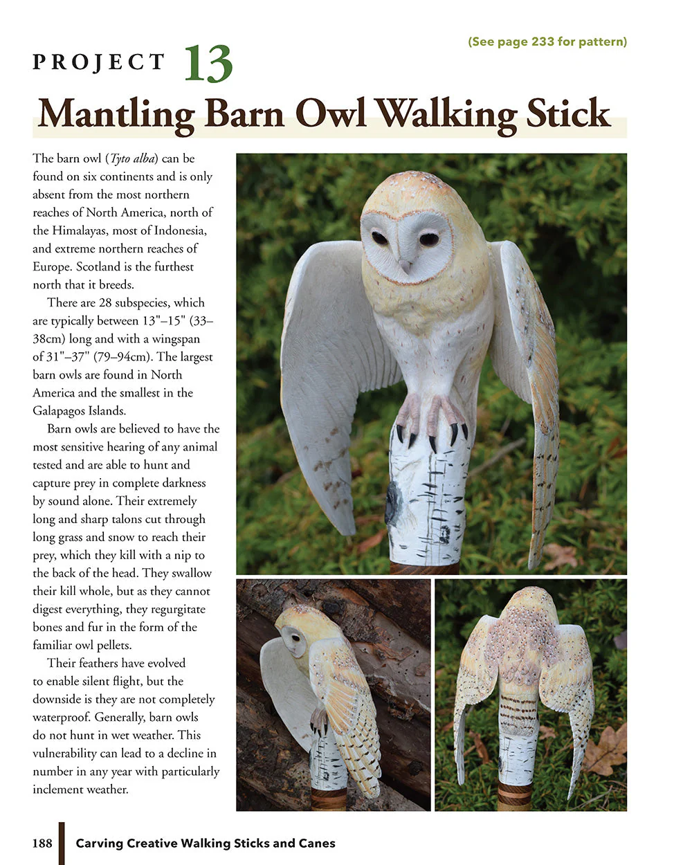 Carving Creative Walking Sticks and Canes - Image 2