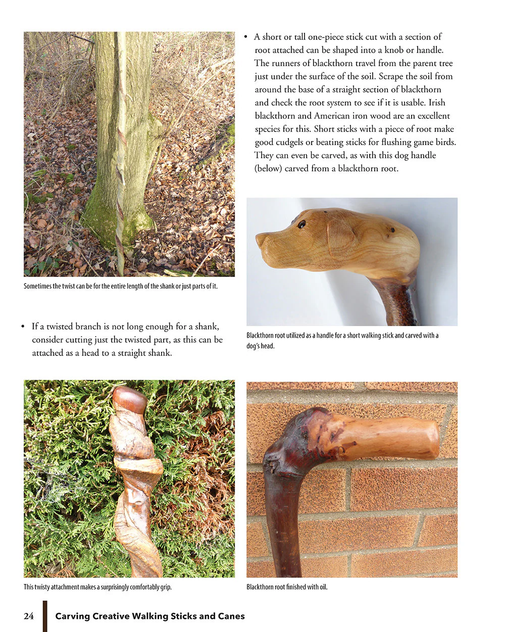 Carving Creative Walking Sticks and Canes - Image 5