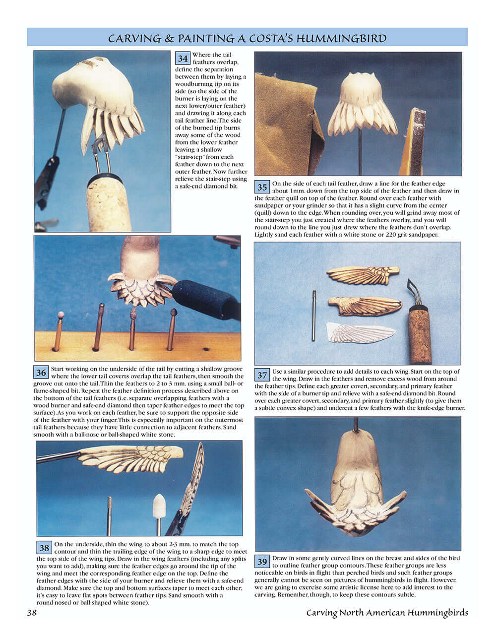 Carving North American Hummingbirds & Their Habitat - Image 4