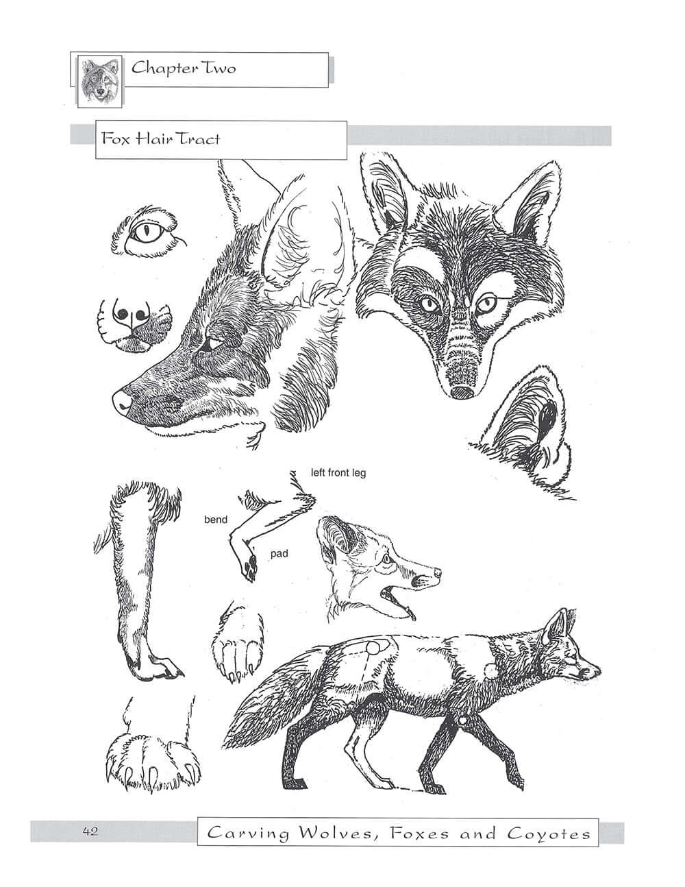 Carving Wolves, Foxes & Coyotes - Image 7