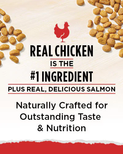Cat Chow Naturals Chicken Original Cat Food - Image 3