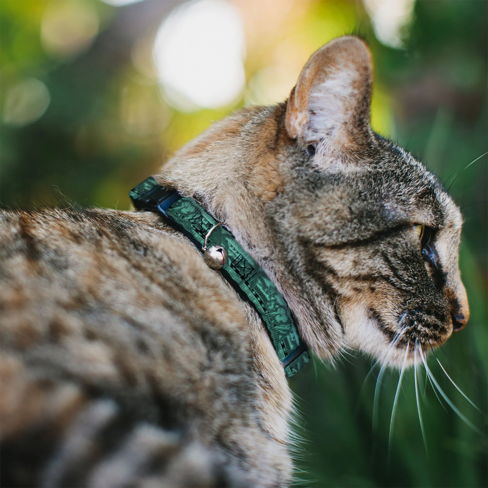 Cat Collar Breakaway - Cali License Plates Stacked - Image 2