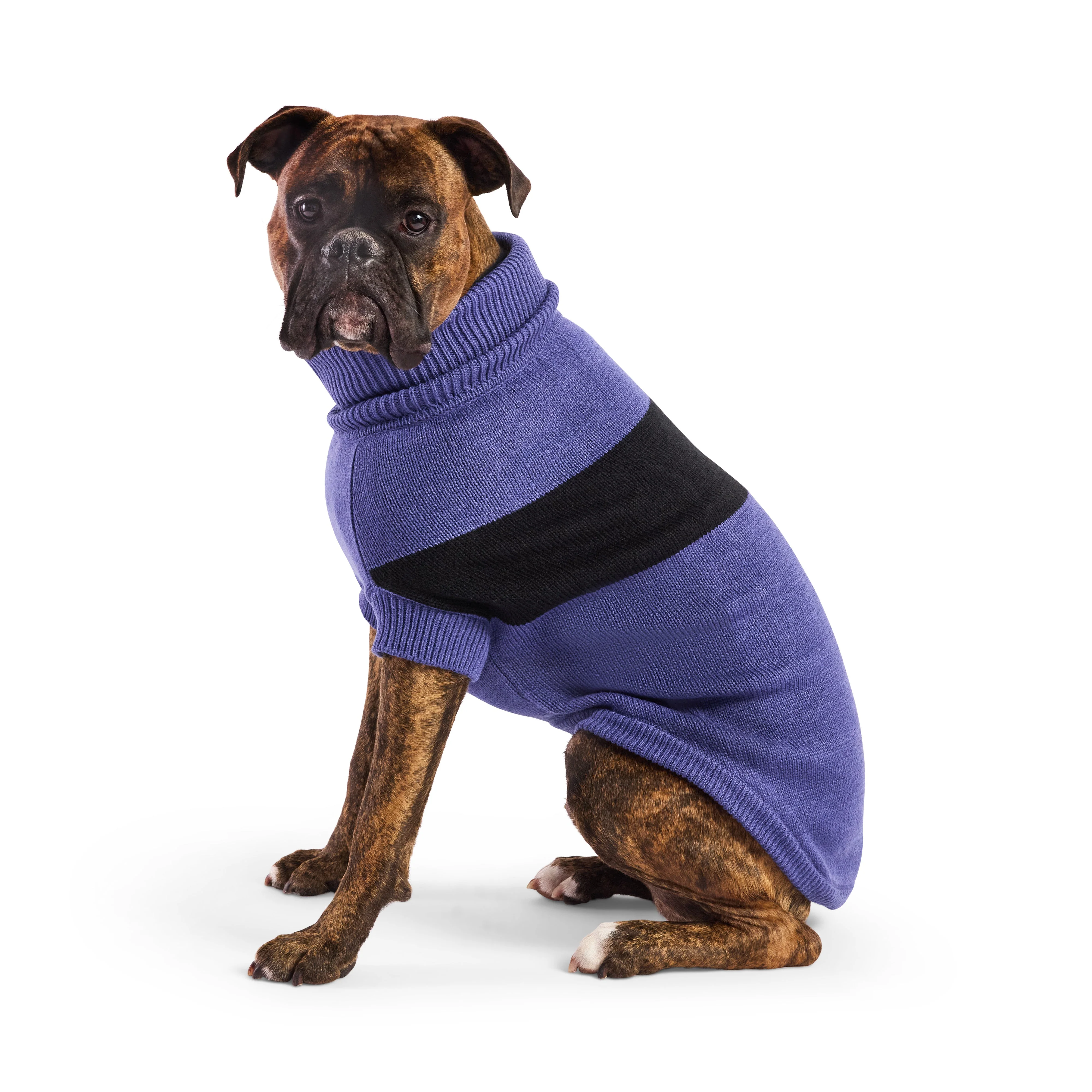 GF Pet.us fabric Dog Sweater - multicolor-3/XS - Image 8
