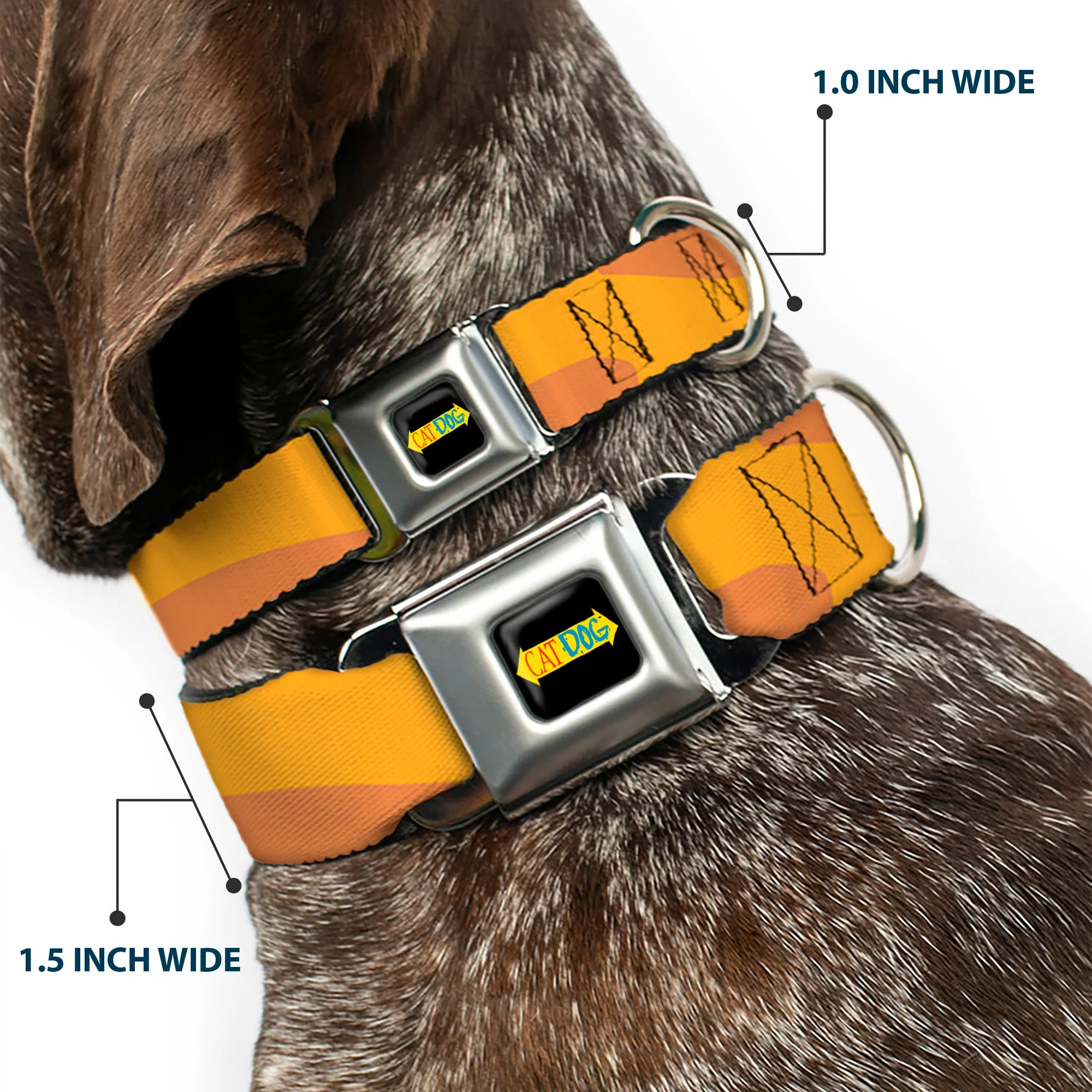 CatDog Stretch/CATDOG Logo Seatbelt Buckle Collar - CatDog Stretch/CATDOG Logo - Image 2