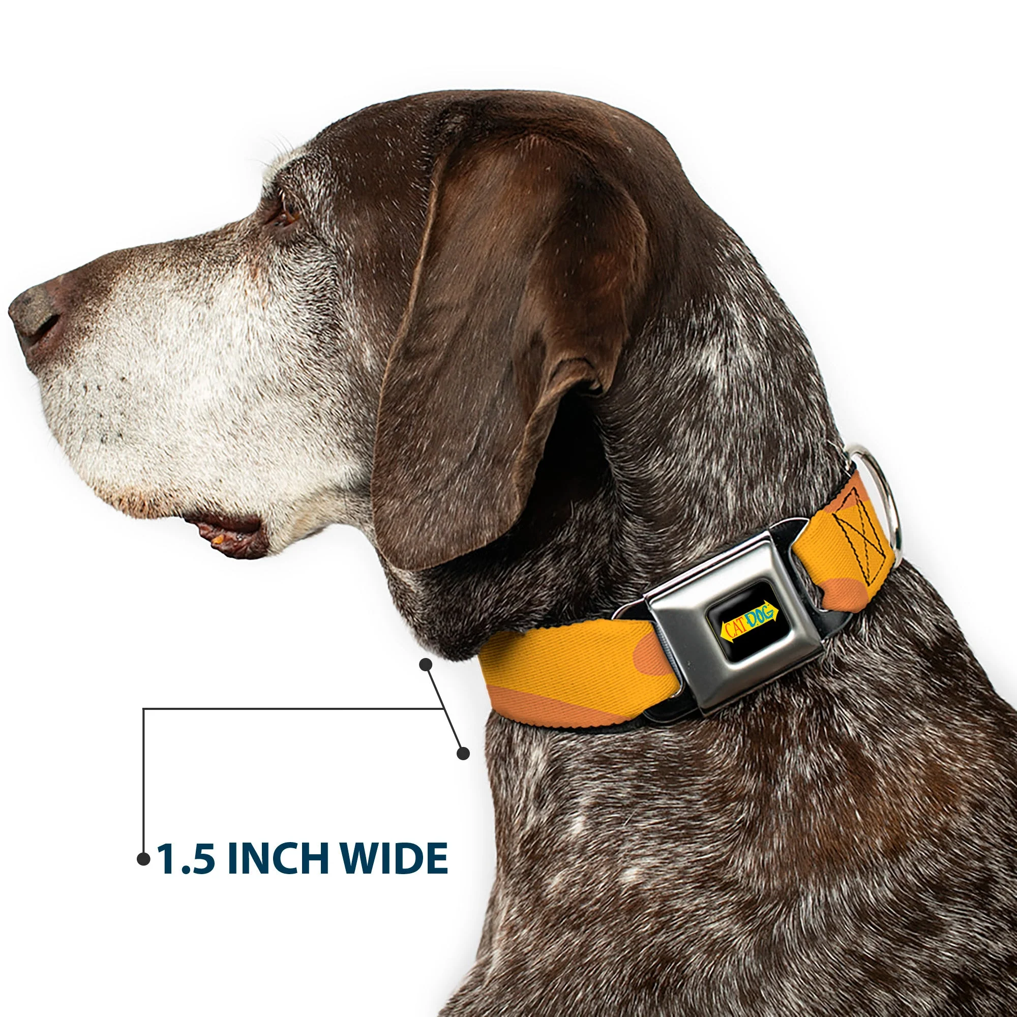 CatDog Stretch/CATDOG Logo Seatbelt Buckle Collar - CatDog Stretch/CATDOG Logo - Image 7