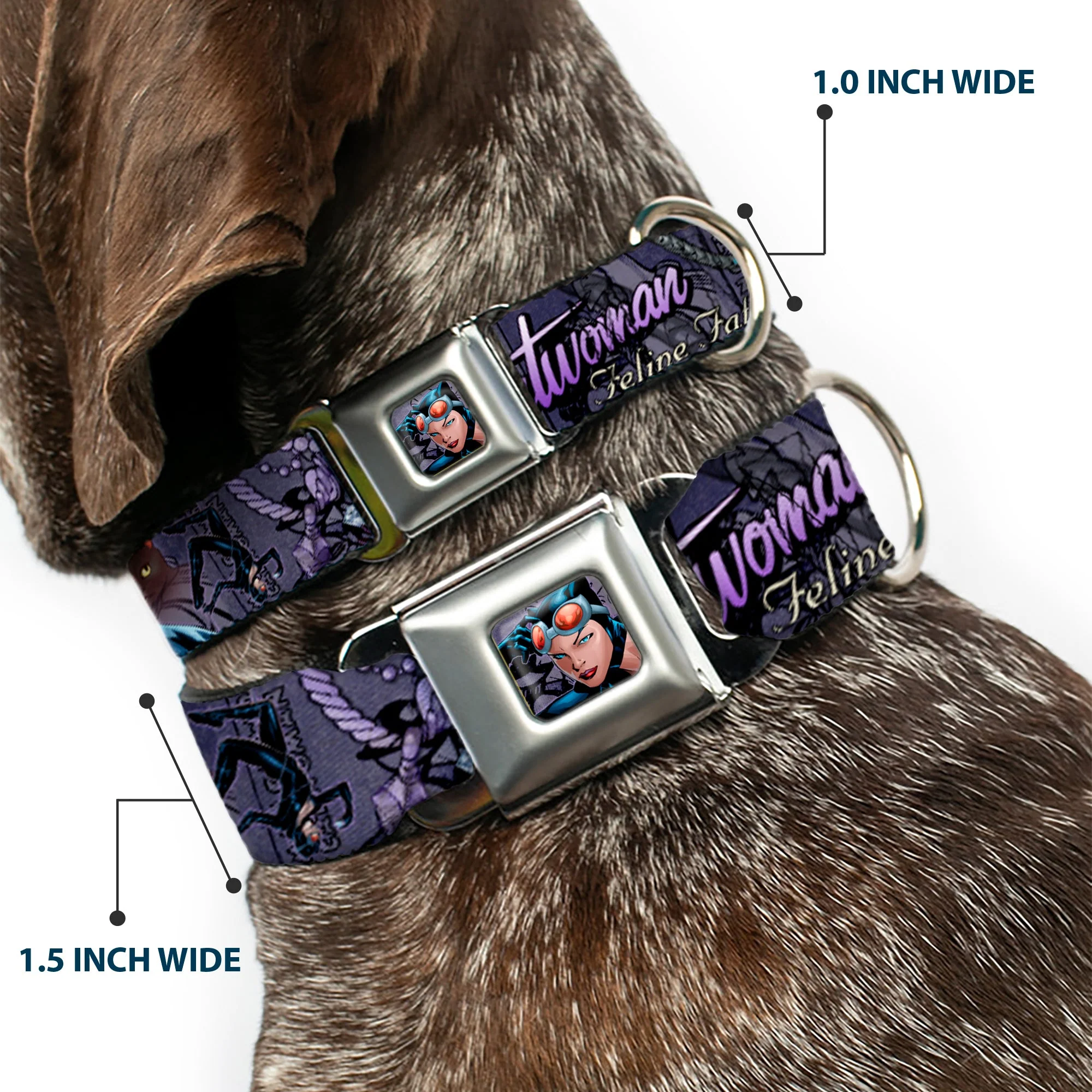 Catwoman Face Full Color Purple Seatbelt Buckle Collar - CATWOMAN-NINE LIVES OF A FELINE FATALE Pose2/Jewelry/Black Cat Purples - Image 2