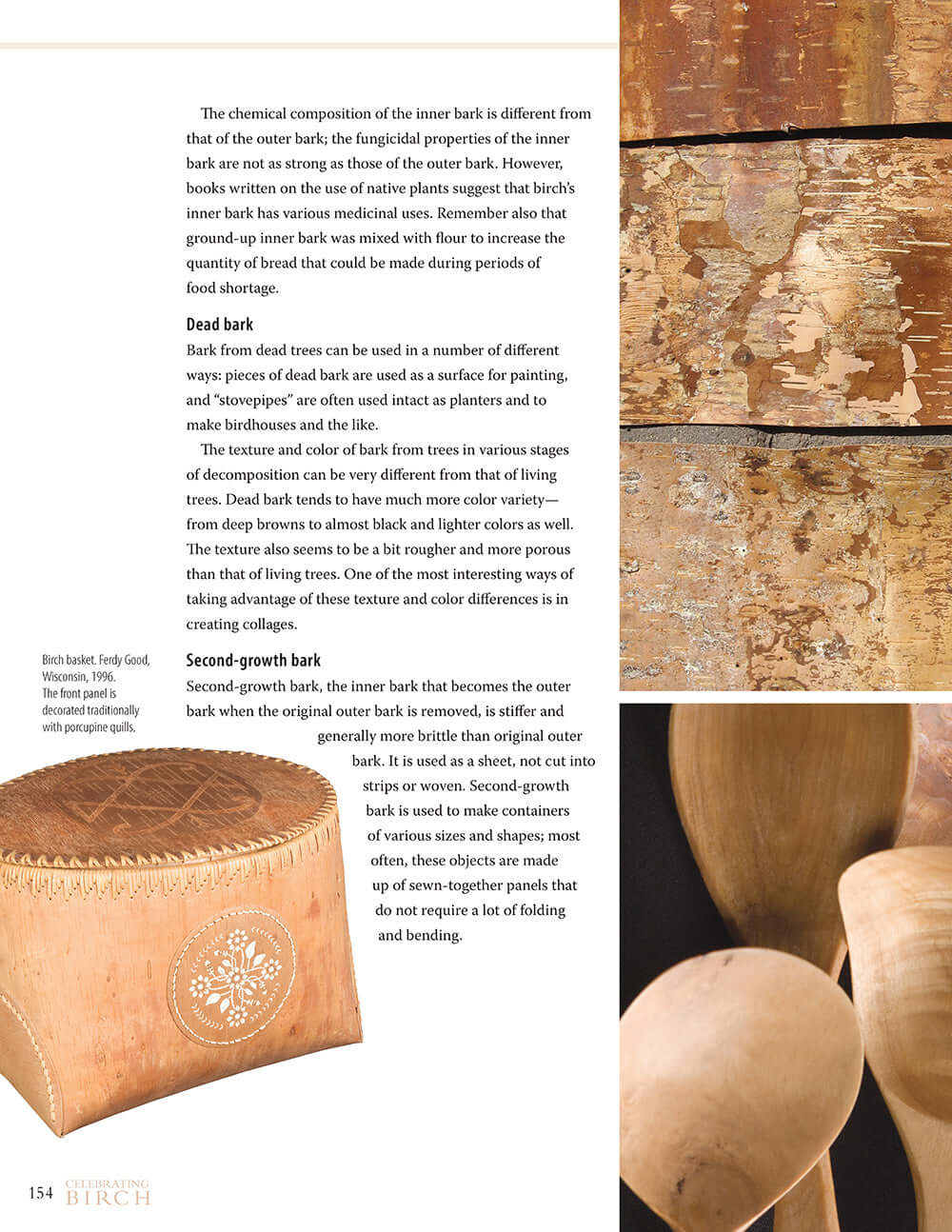 Celebrating Birch - Image 5