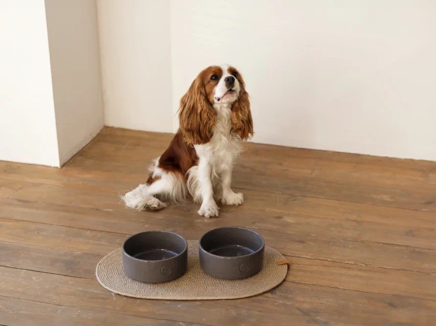 Ceramic Pet Bowl - Image 24