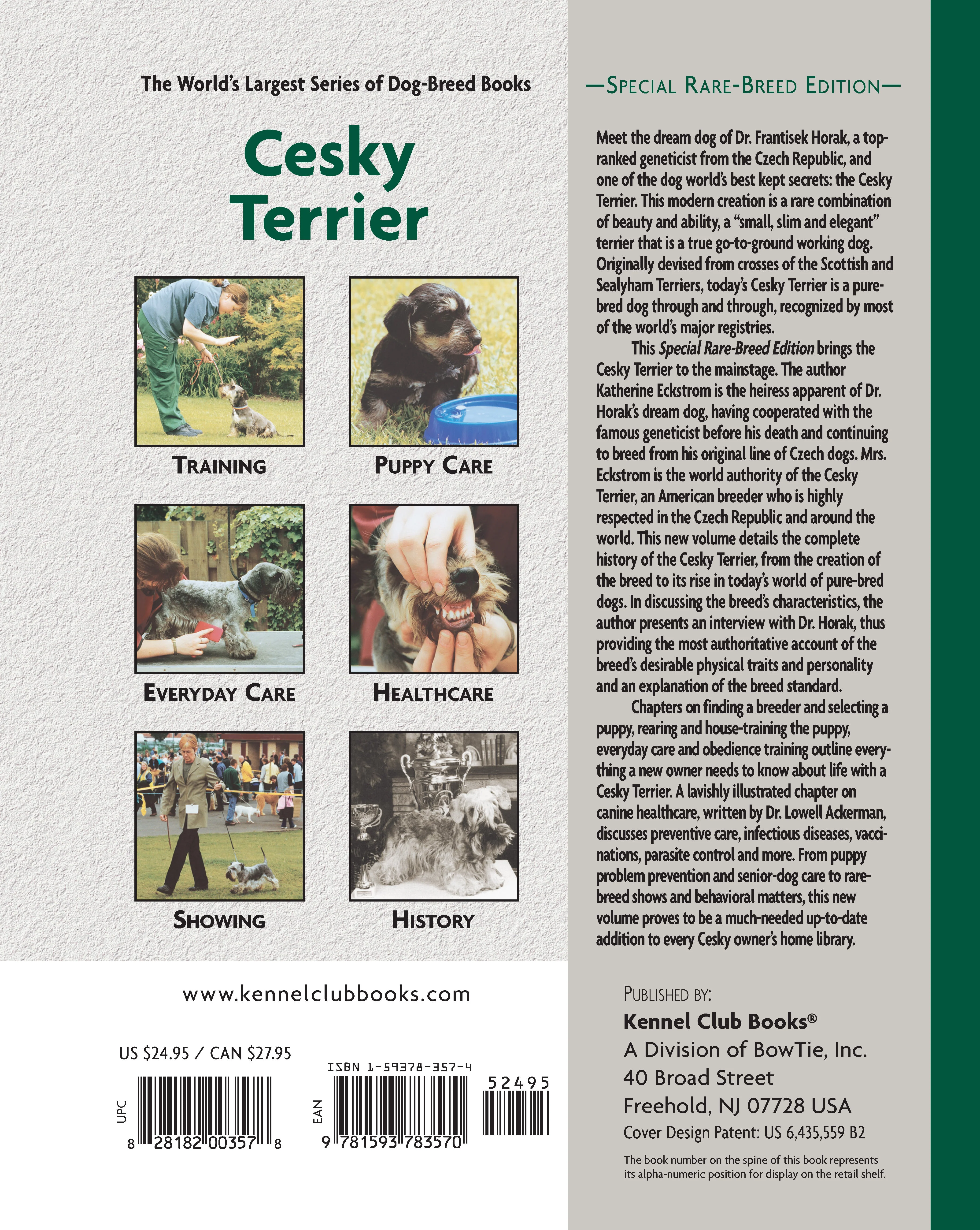 Cesky Terrier - Image 7