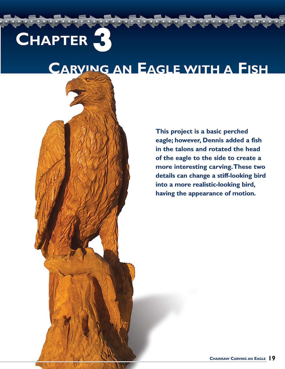 Chainsaw Carving an Eagle - Image 5