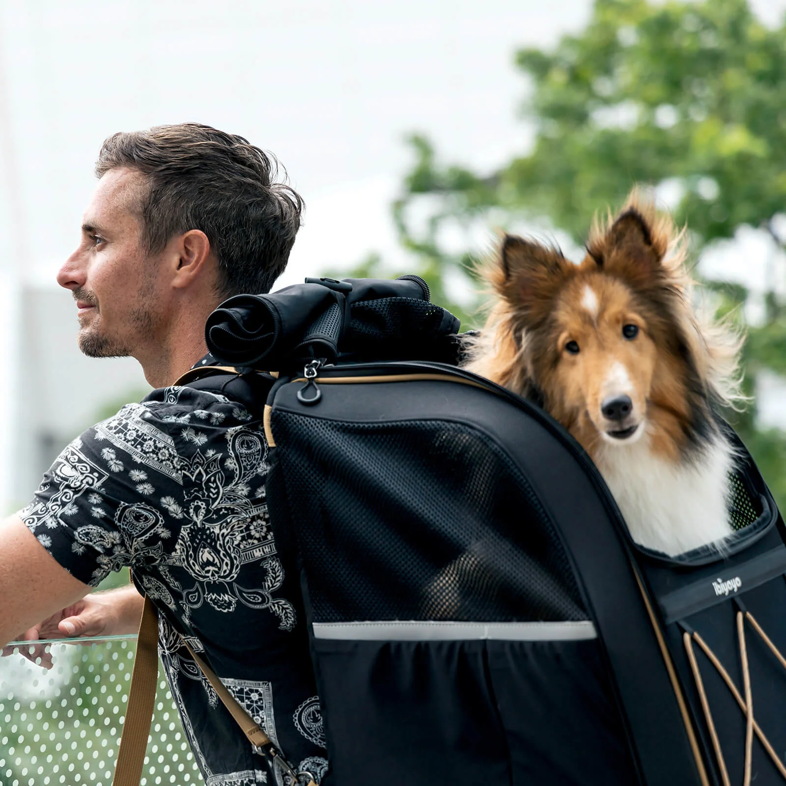 Champion Large Dog Carrier Backpack, with Optional Wheels - Image 3