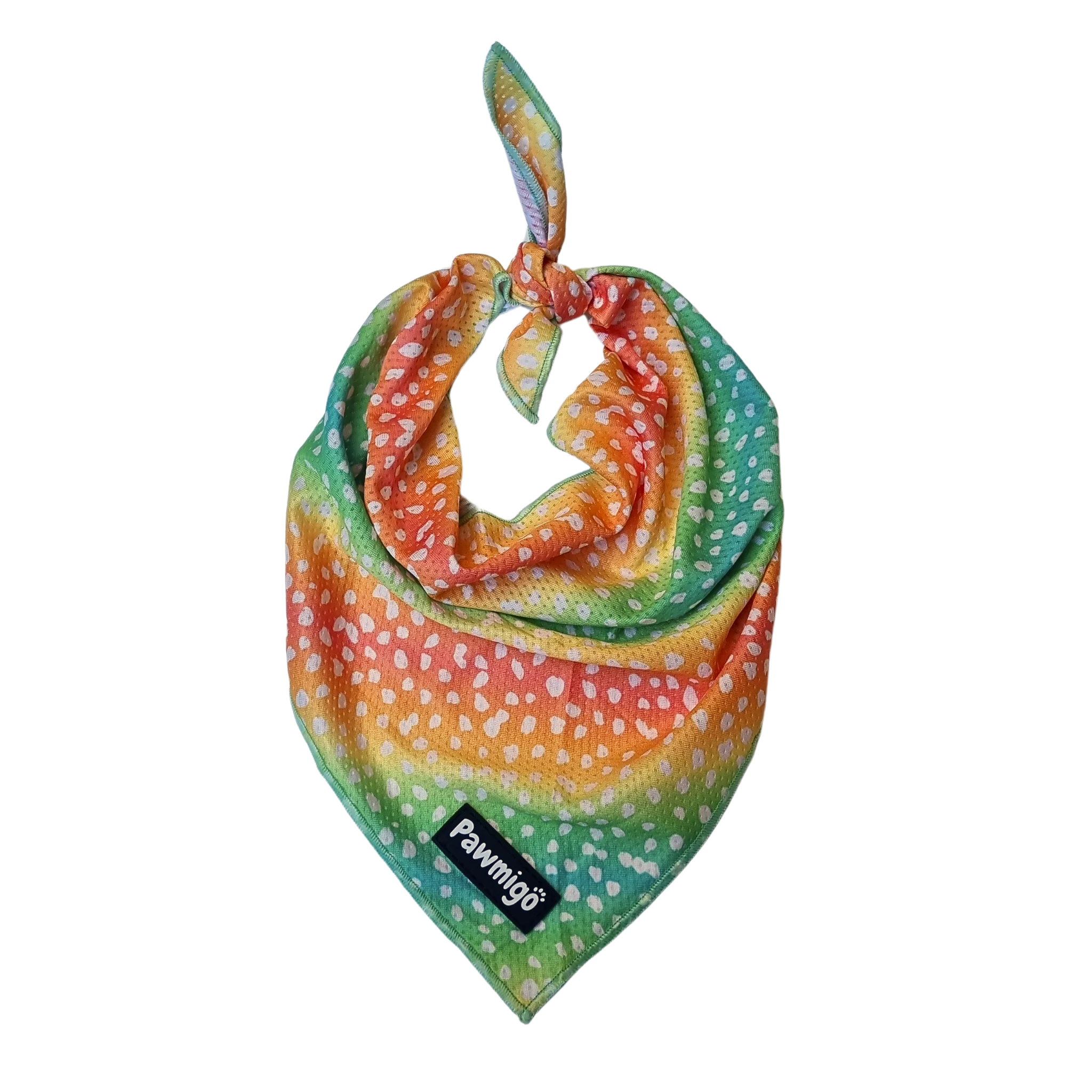 Chasing Rainbows Cooling Bandana