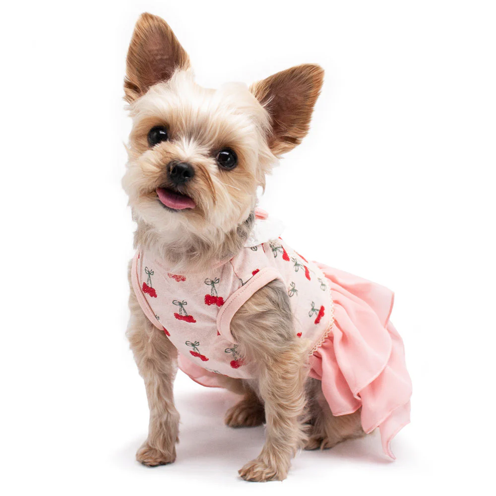 Cherish Cherry Dress - Image 9