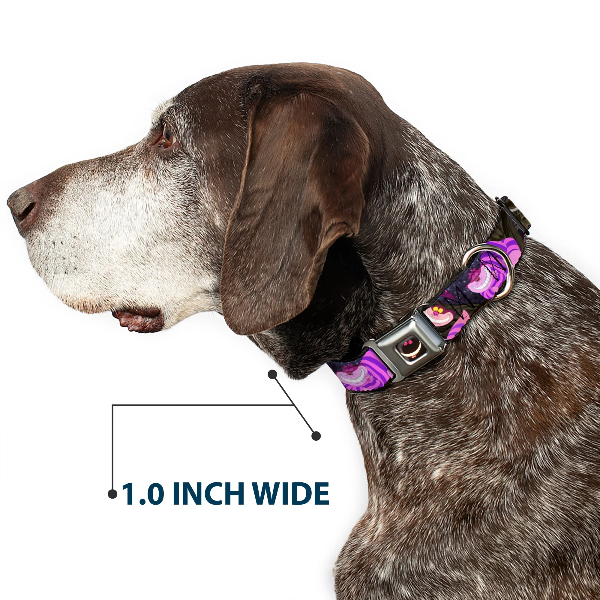 Cheshire Cat Eyes Smile Full Color Seatbelt Buckle Collar - Cheshire Cat Tree Poses - Image 6