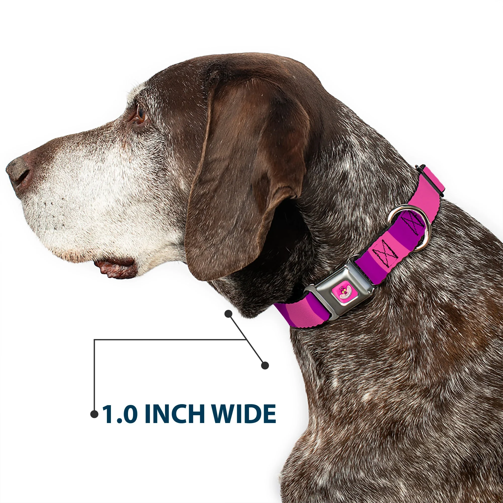 Cheshire Cat Face Full Color Pink Seatbelt Buckle Collar - Cheshire Cat Stripe Pink/Purple - Image 6