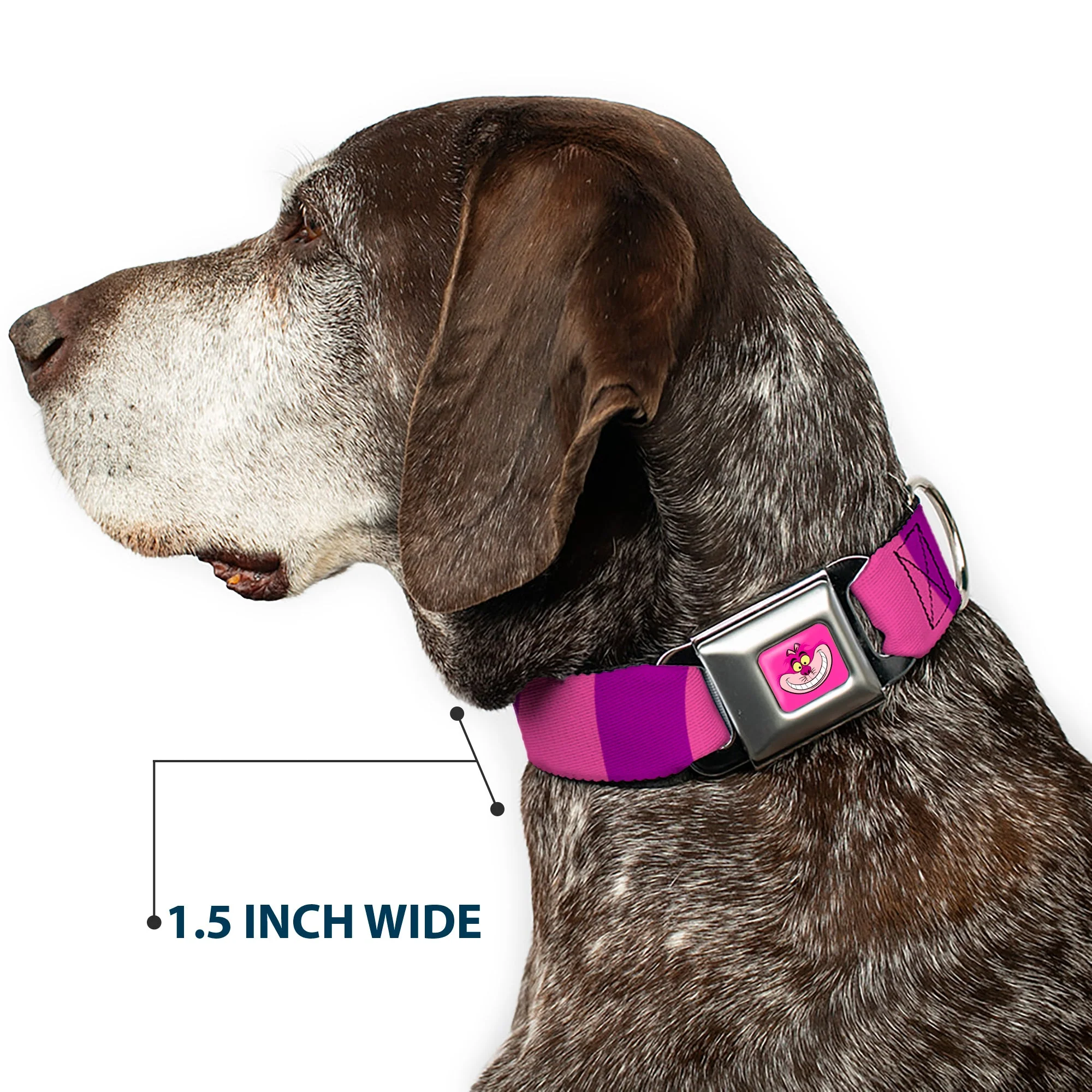 Cheshire Cat Face Full Color Pink Seatbelt Buckle Collar - Cheshire Cat Stripe Pink/Purple - Image 7