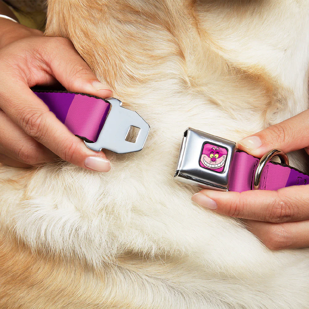Cheshire Cat Face Full Color Pink Seatbelt Buckle Collar - Cheshire Cat Stripe Pink/Purple - Image 8
