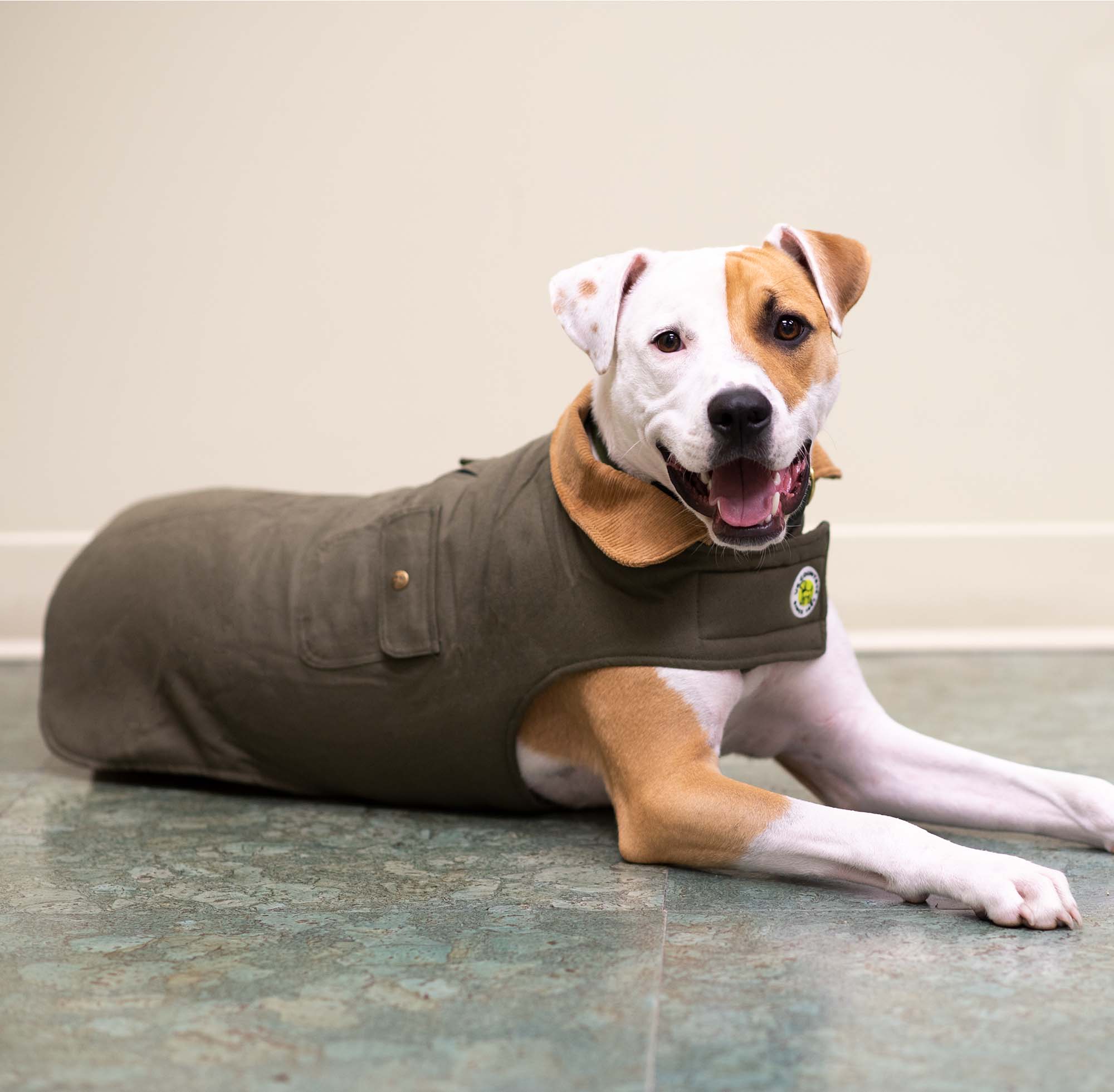 Up Country Chester Barn Coat Pet Accessory - Image 6