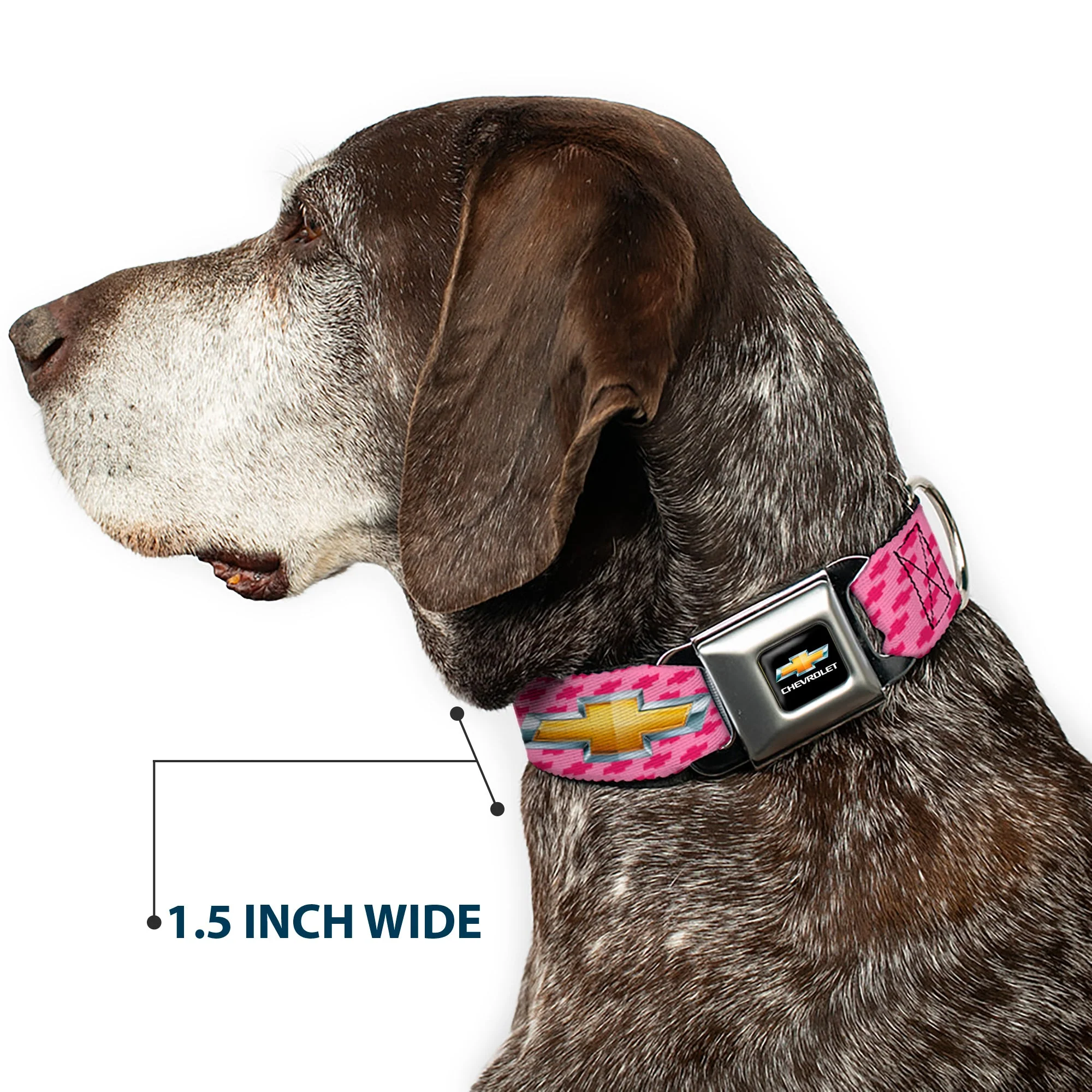 Chevy Bowtie Full Color Black Gold Seatbelt Buckle Collar - Chevy Gold Bowtie w/Logo PINK - Image 7