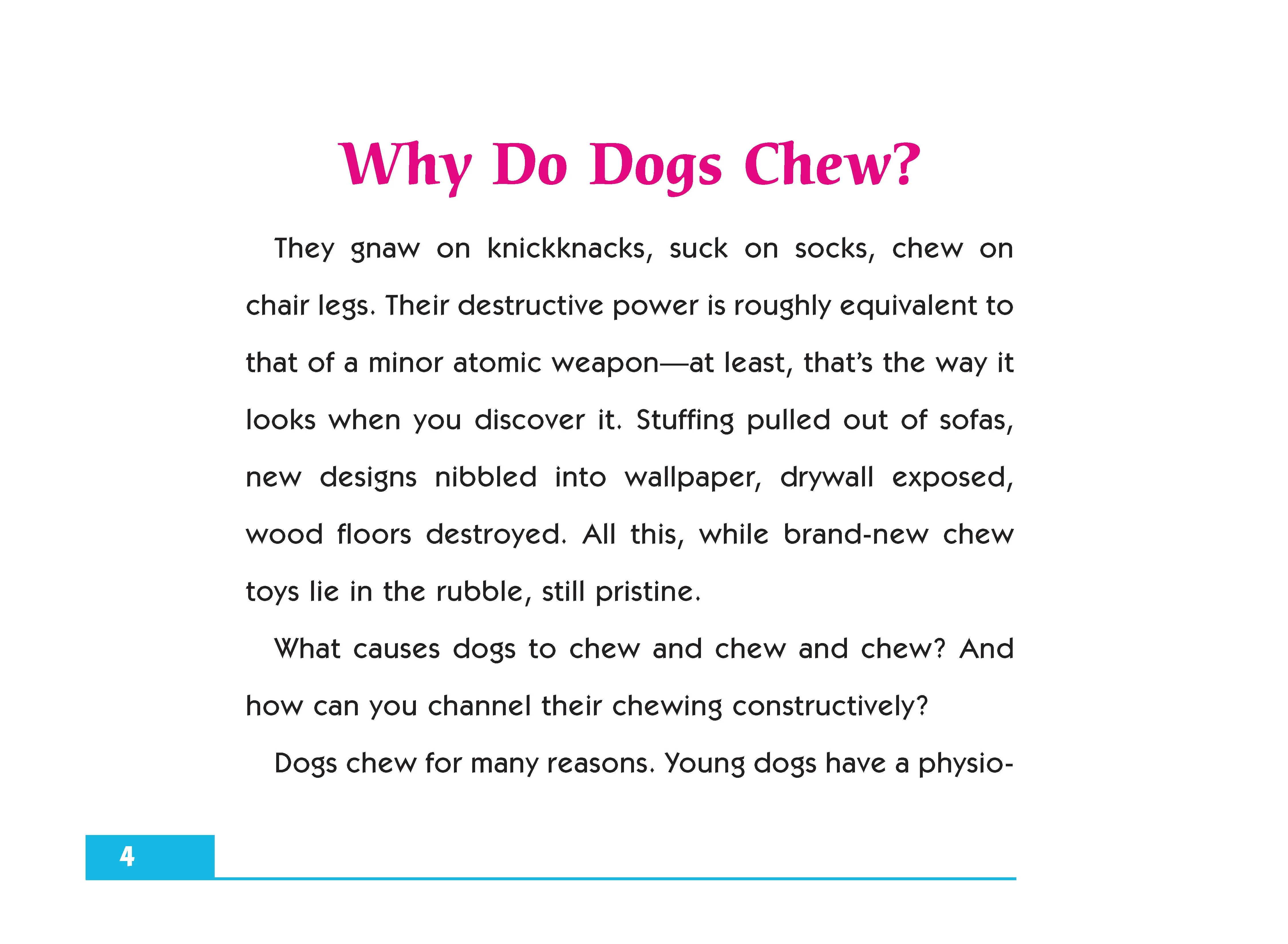 Chewing - Image 3