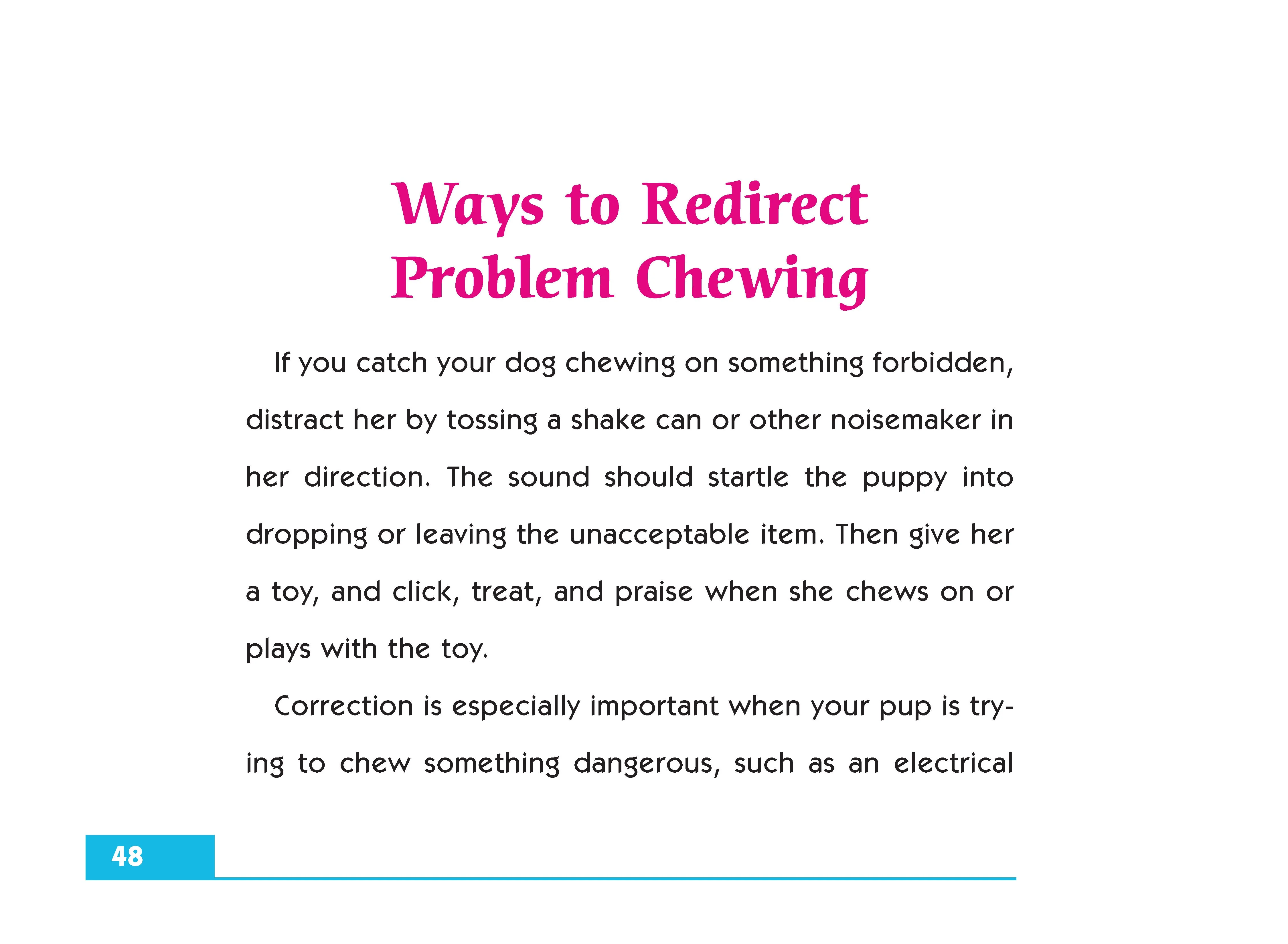 Chewing - Image 5