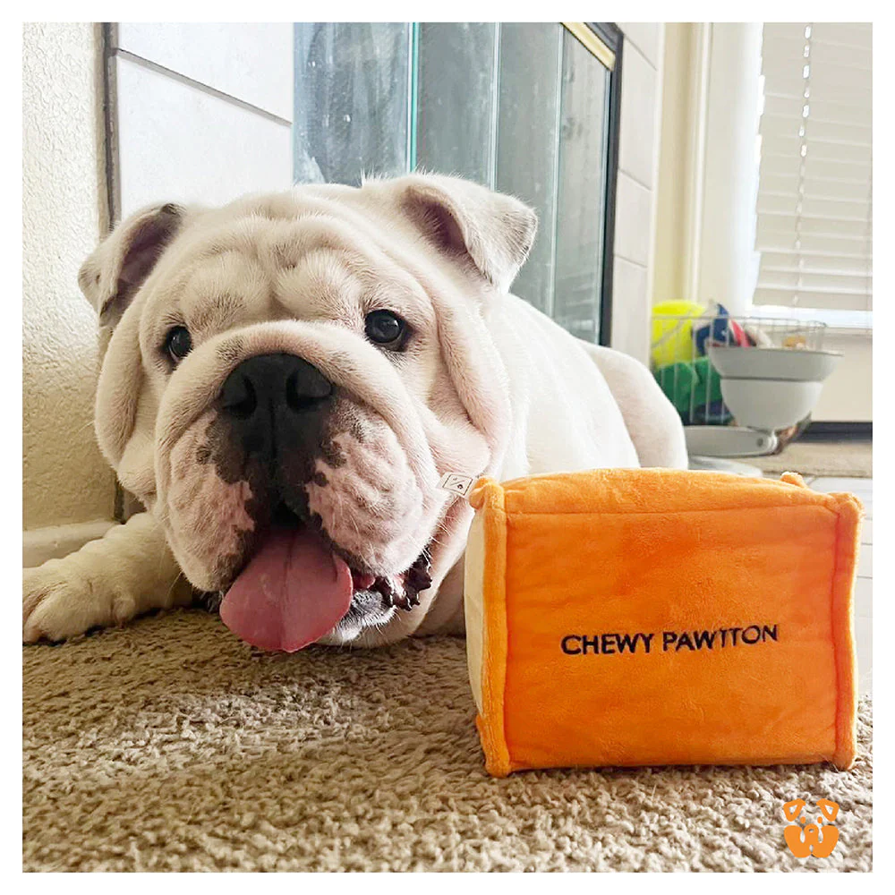 Pet Toy: CHEWY PAWTTON PLUSH DOG TOY - Image 6