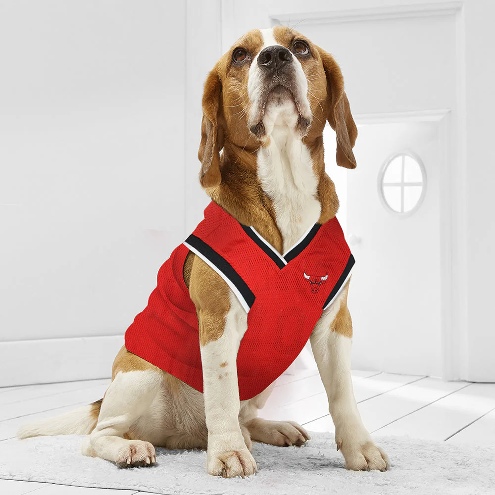 Chicago Bulls Mesh Basketball Jersey by Pets First - Image 5