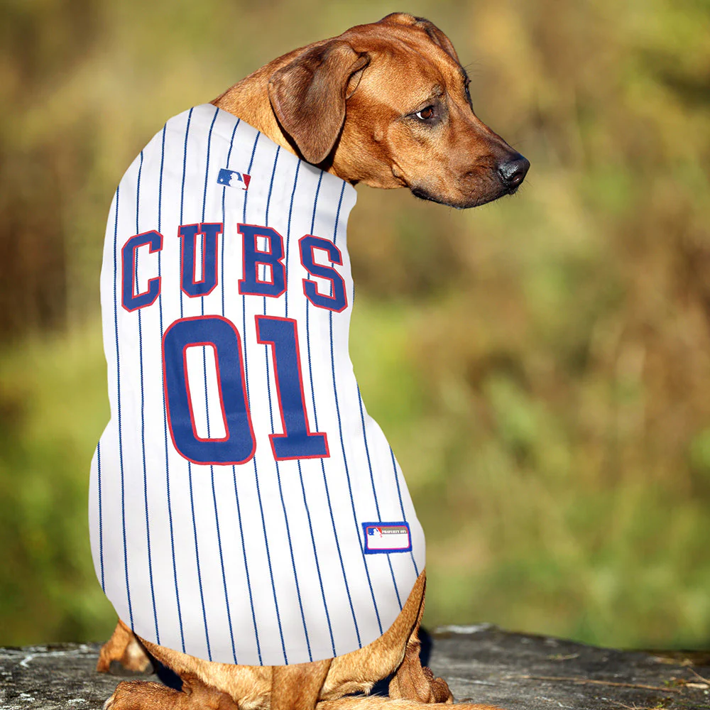 Chicago Cubs Dog Jersey - Image 4
