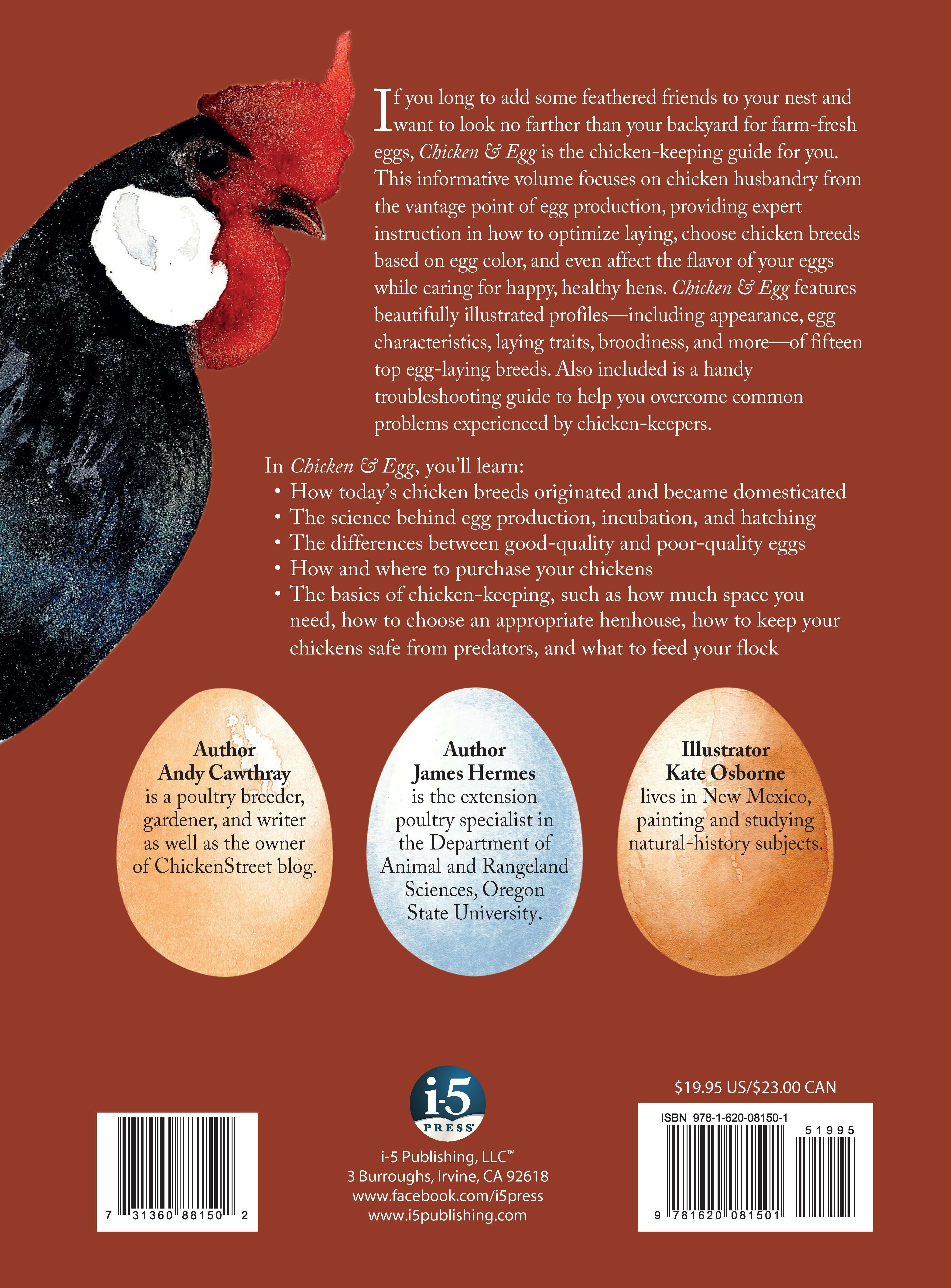 Chicken and Egg - Image 2