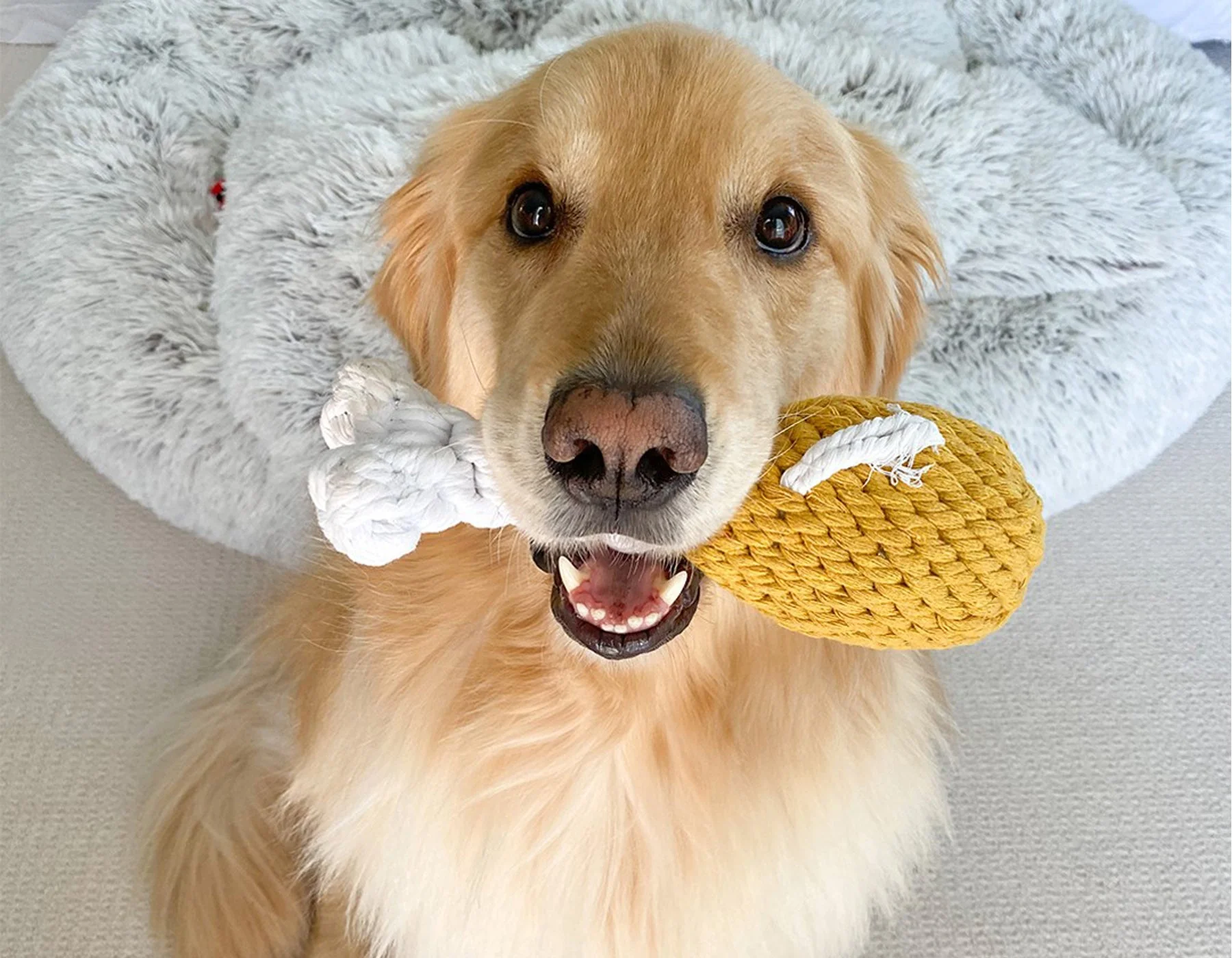 Jax & Bones Chicken Drumstick 10" Rope Dog Toy Toys - Image 6