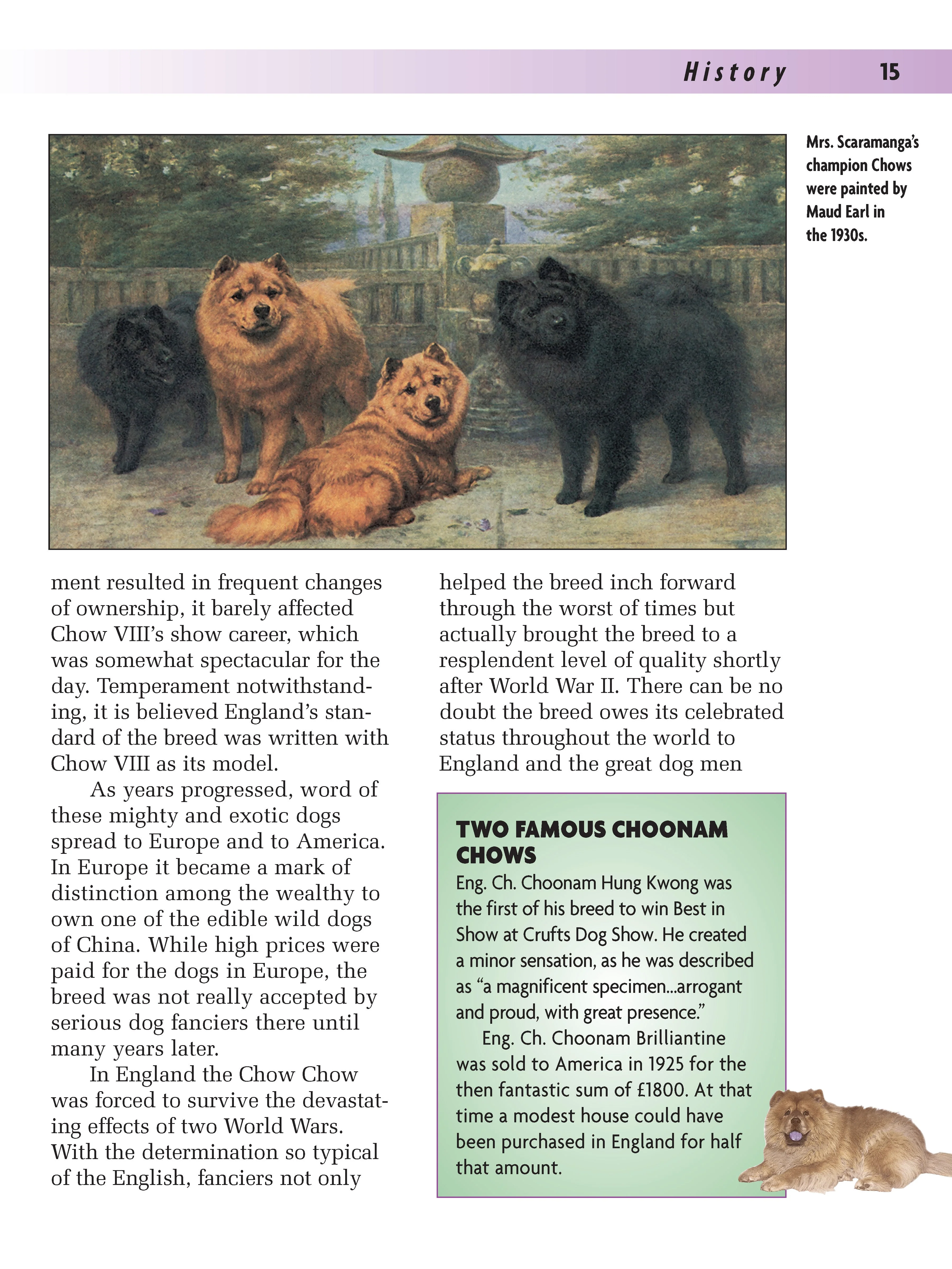 Chow Chow - Image 2