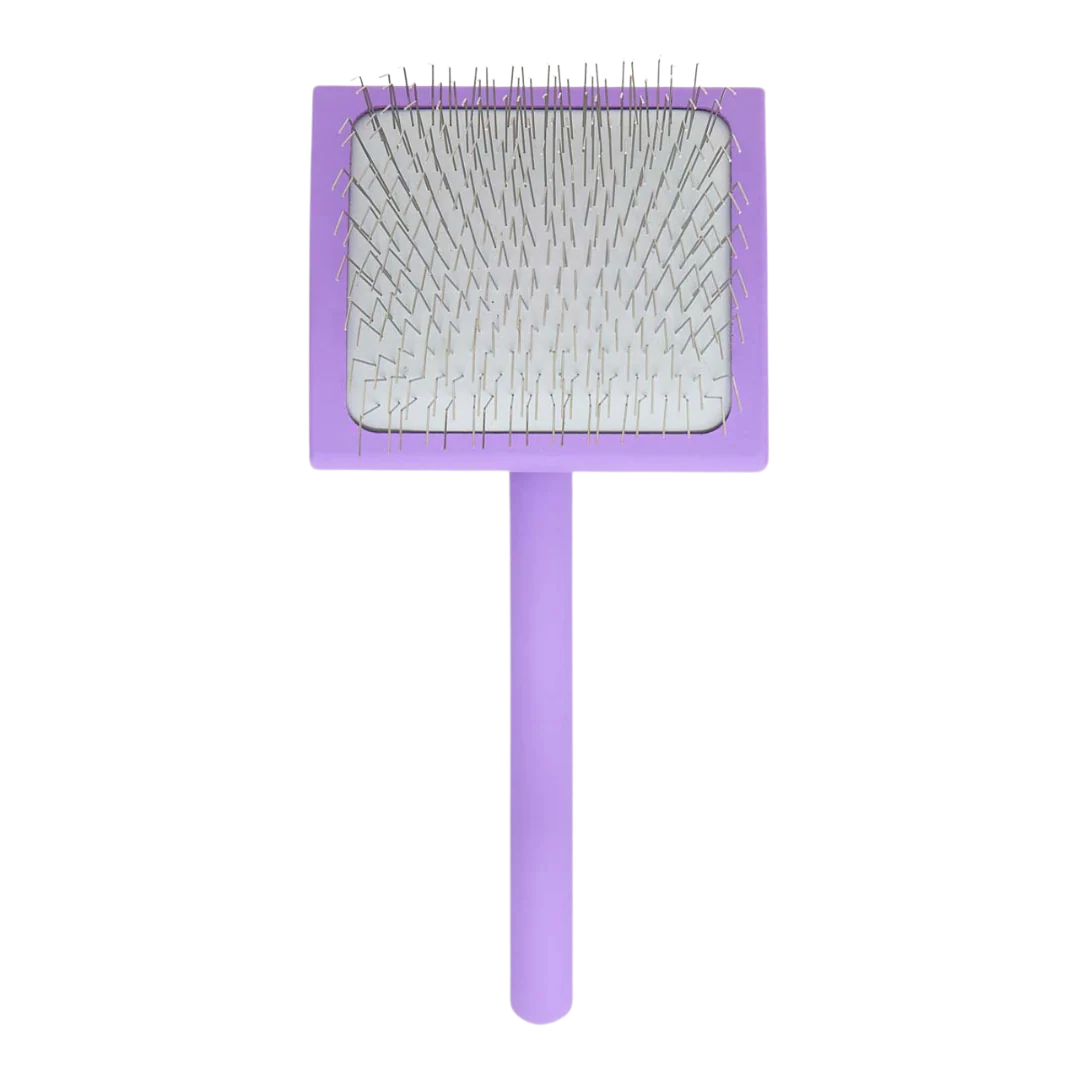 Big A Slicker Brush Large/Purple by Chris Christensen